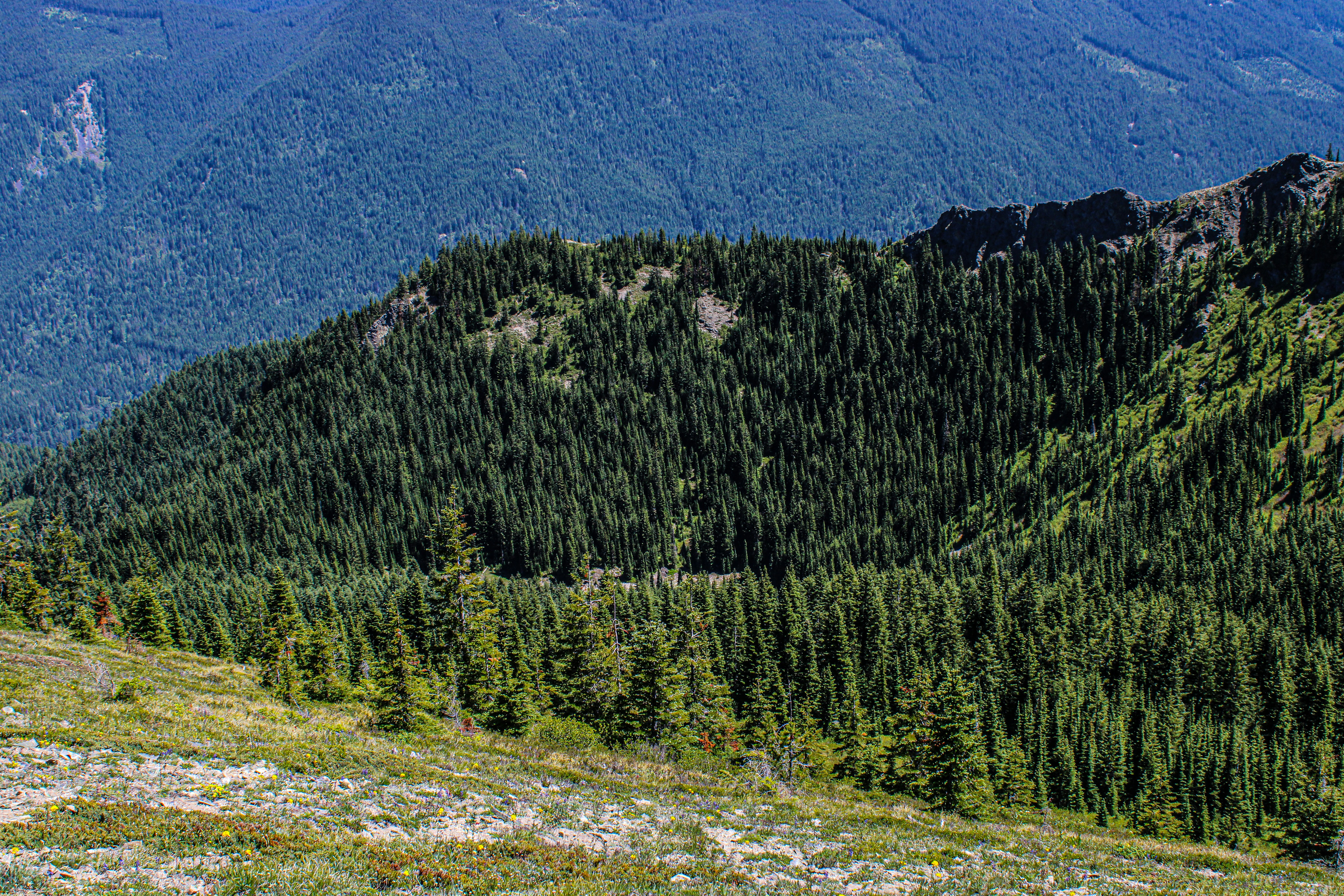 Photo by prphotography262