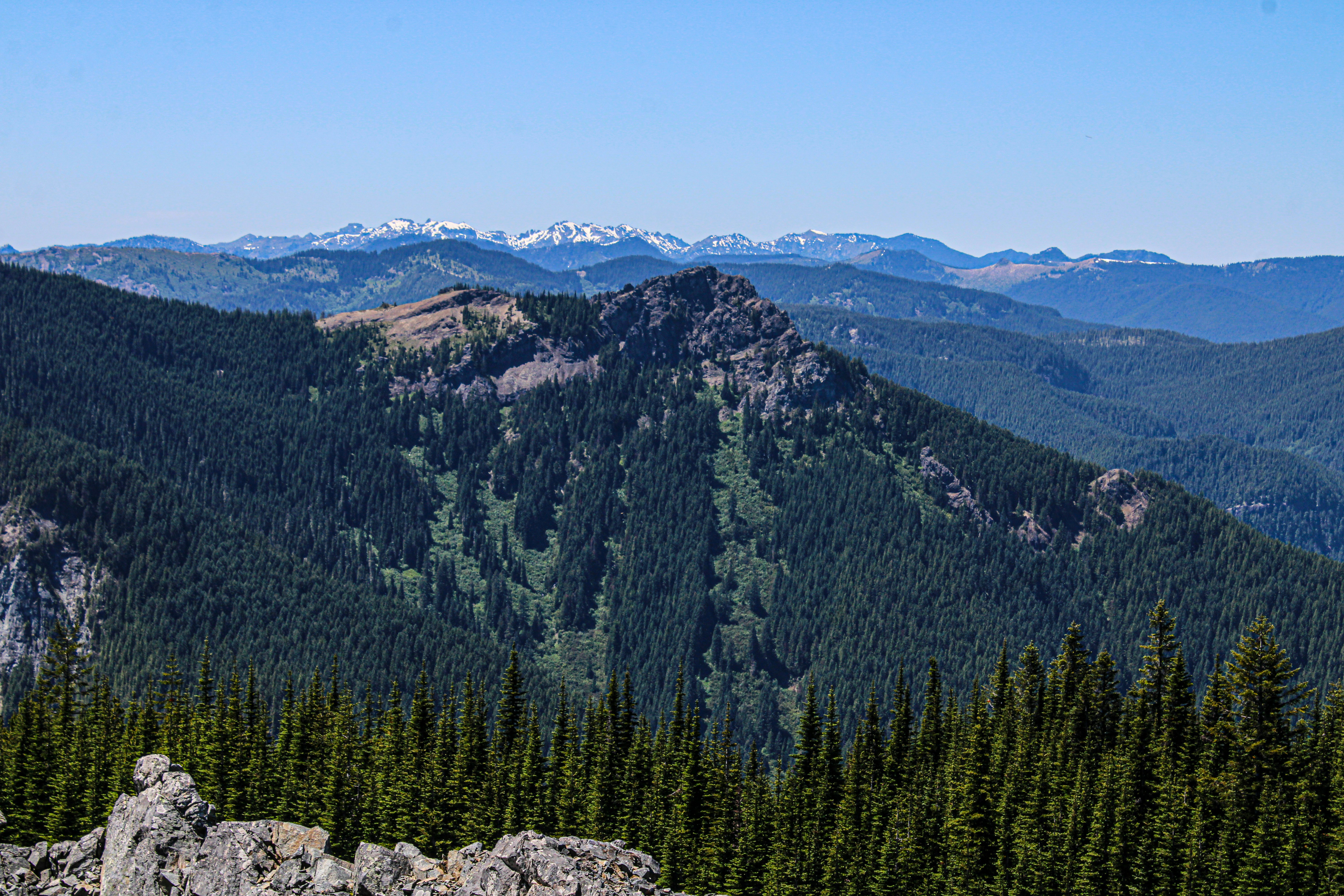 Photo by prphotography262