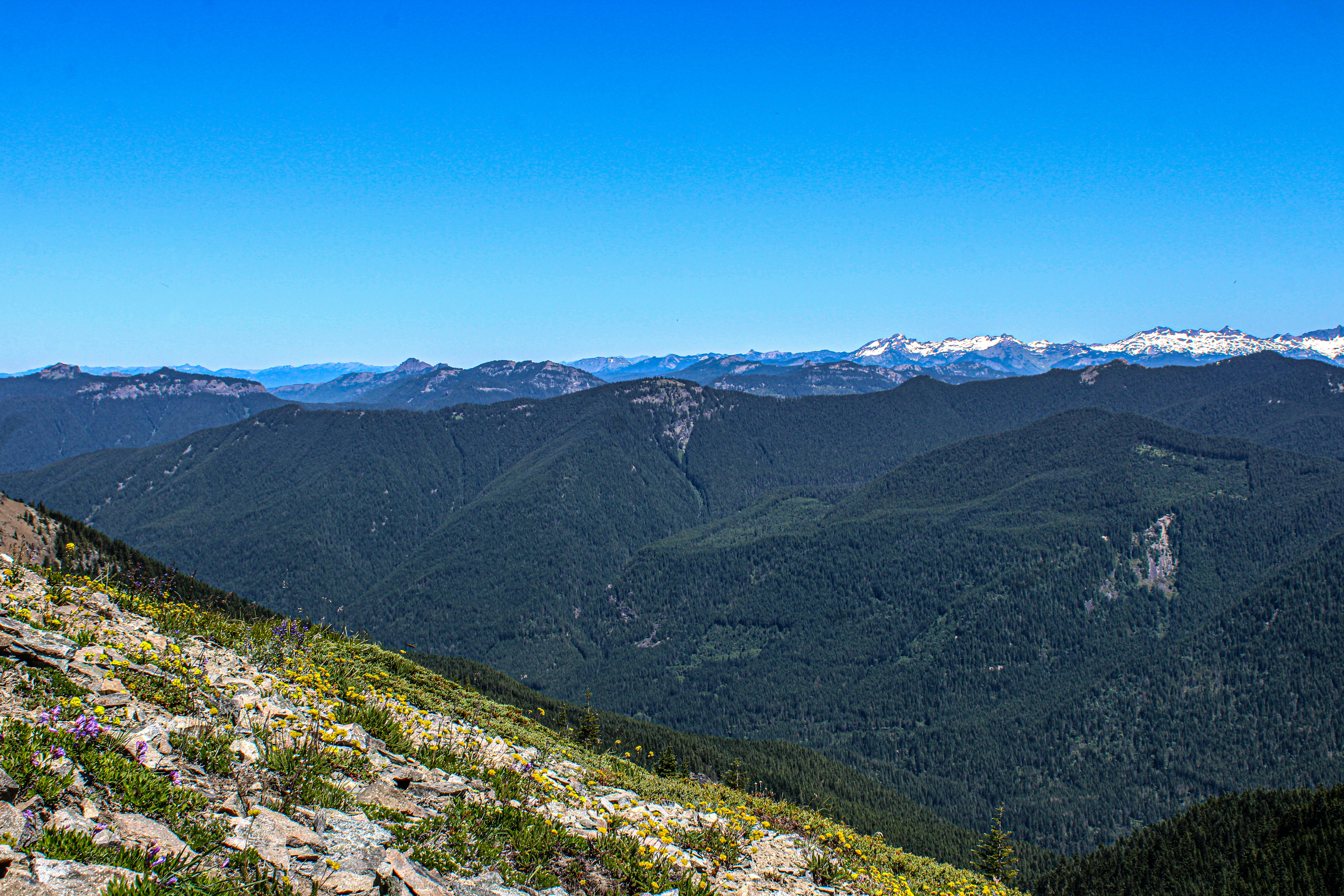 Photo by prphotography262