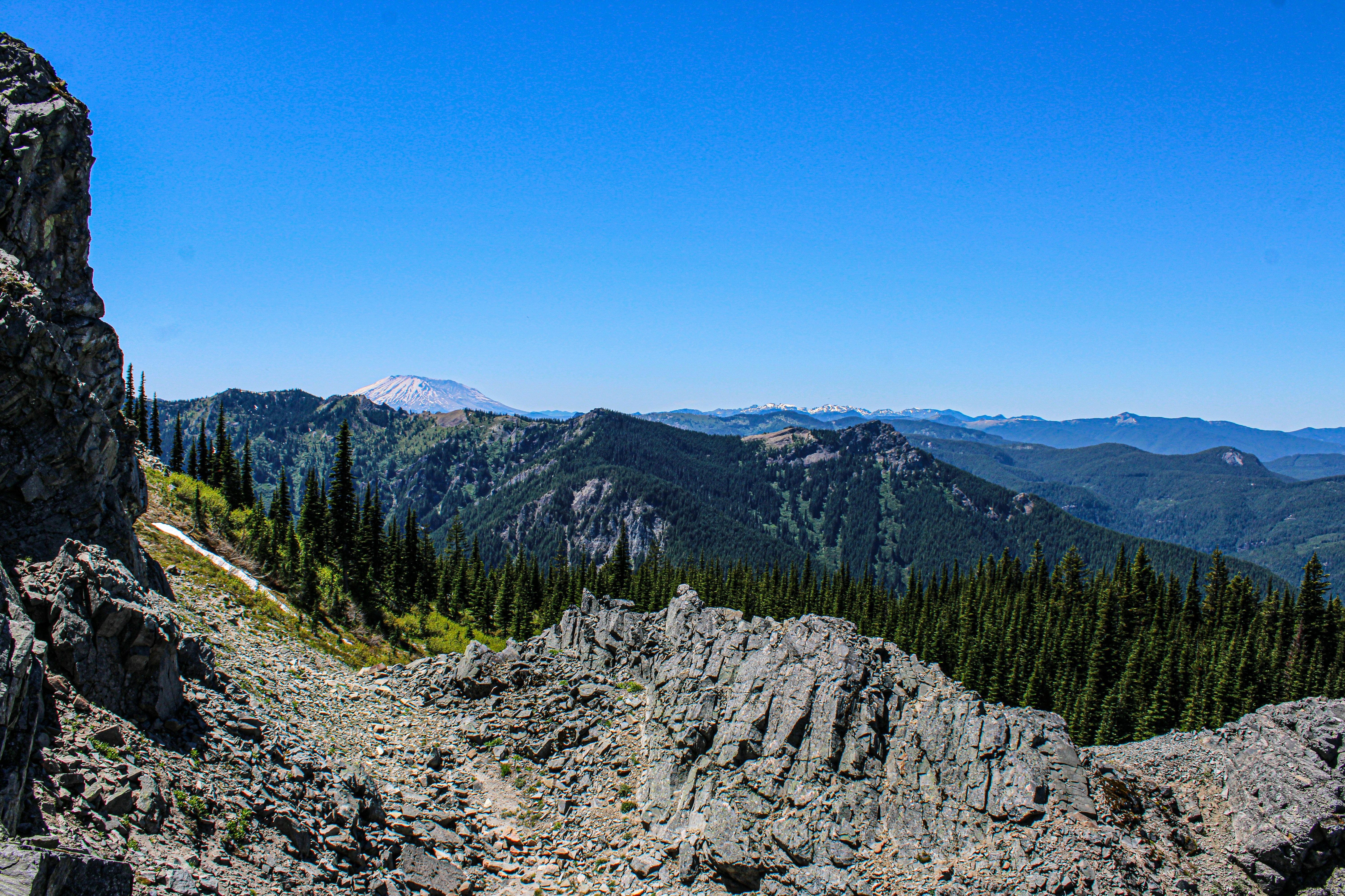 Photo by prphotography262