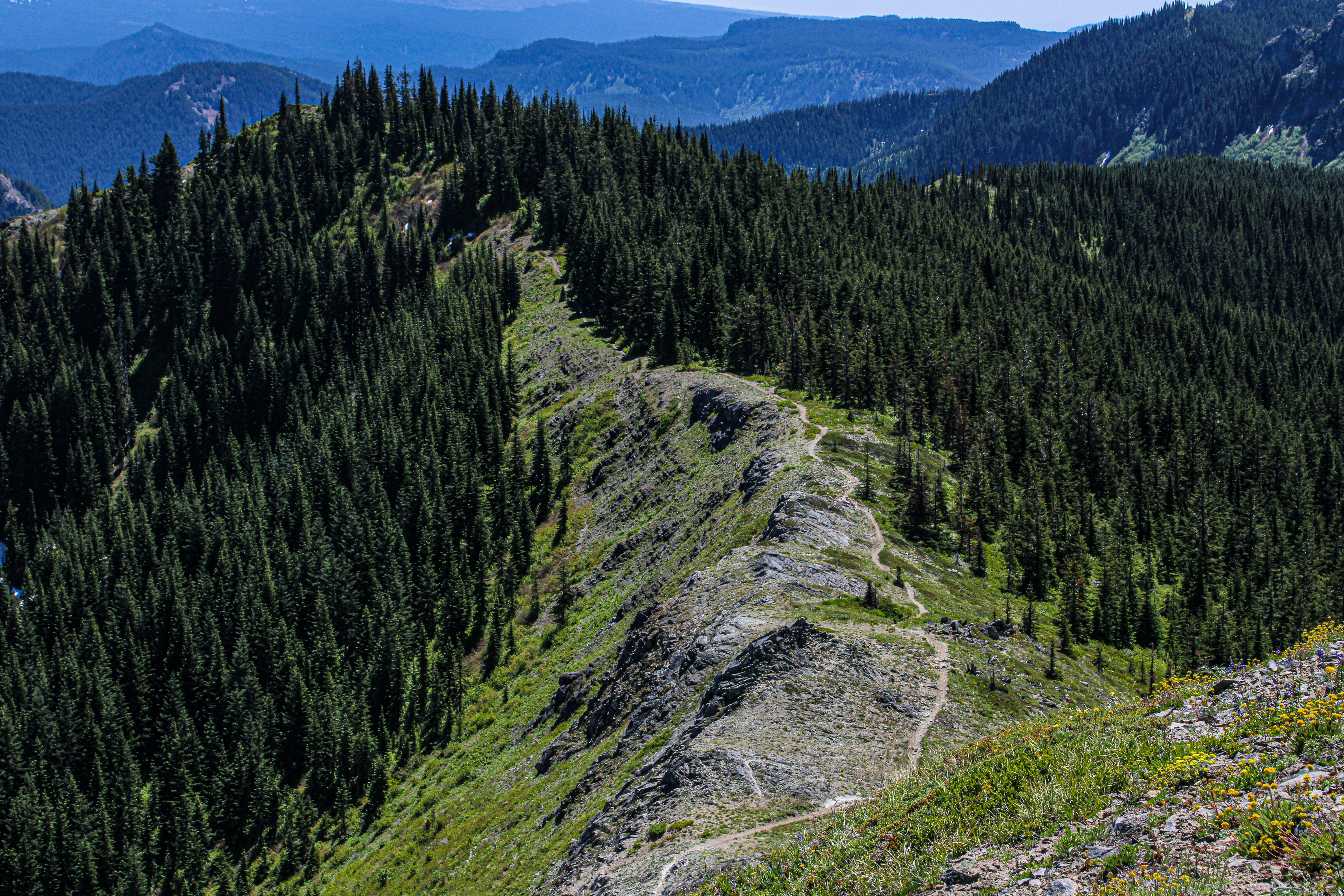 Photo by prphotography262