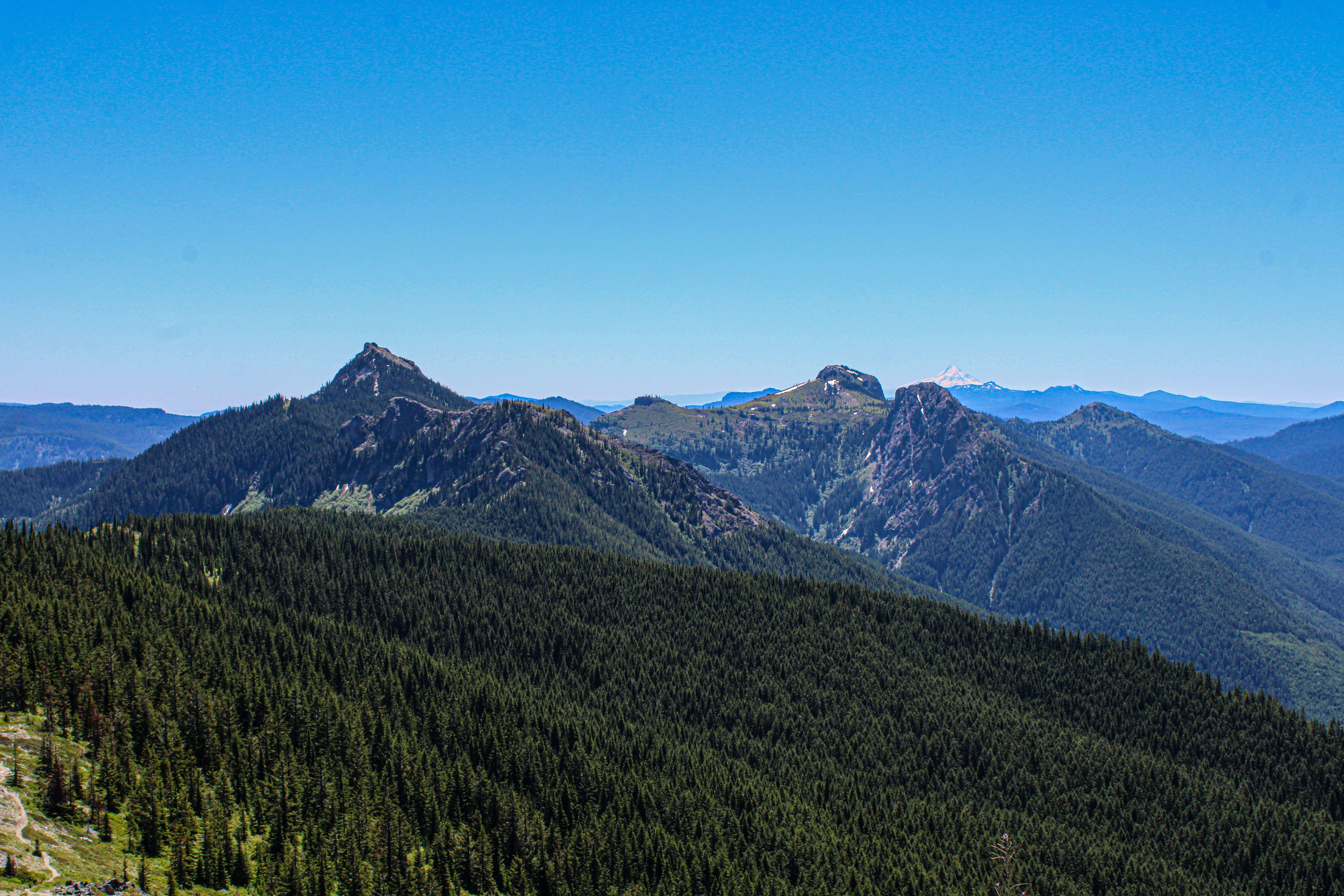 Photo by prphotography262