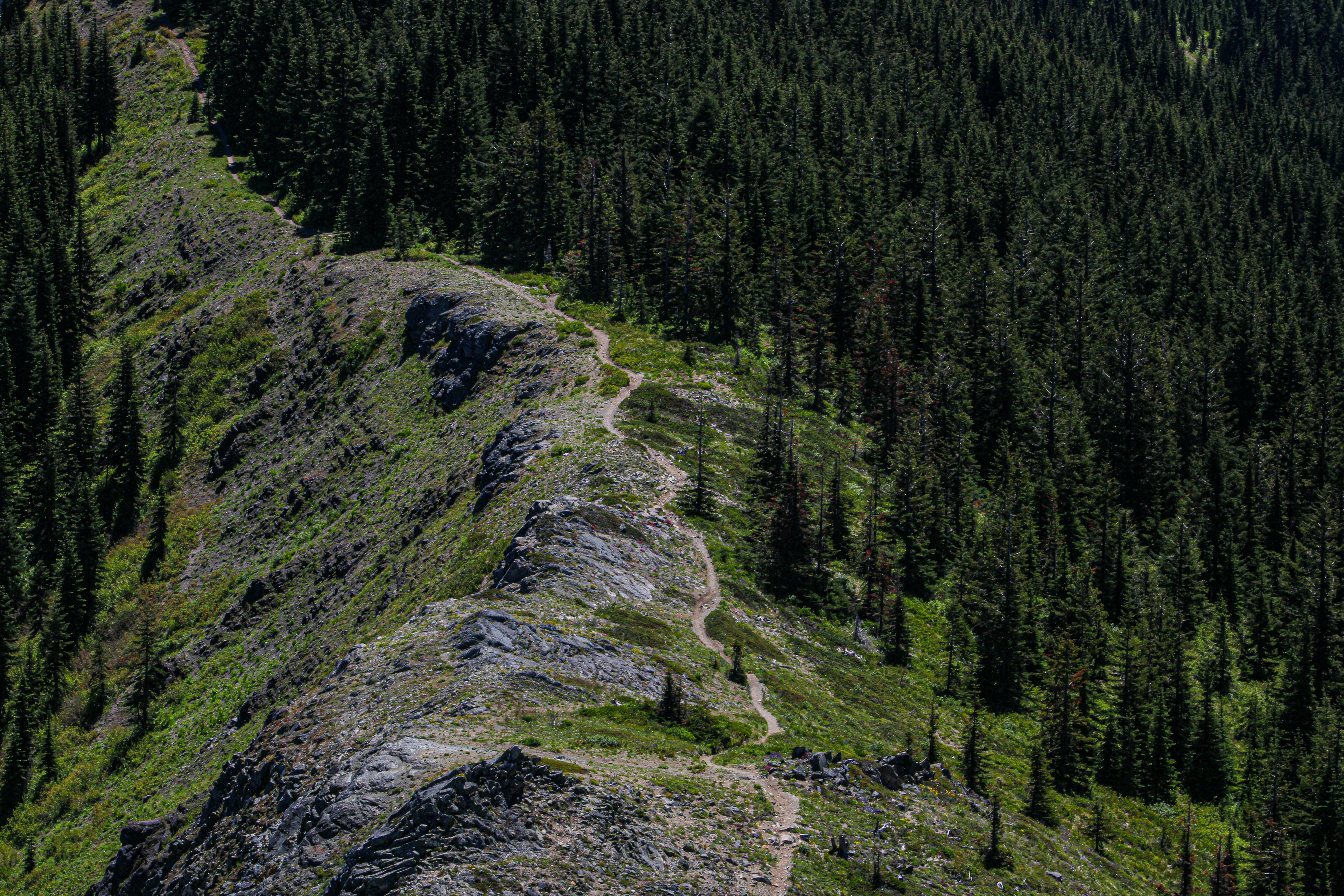 Photo by prphotography262