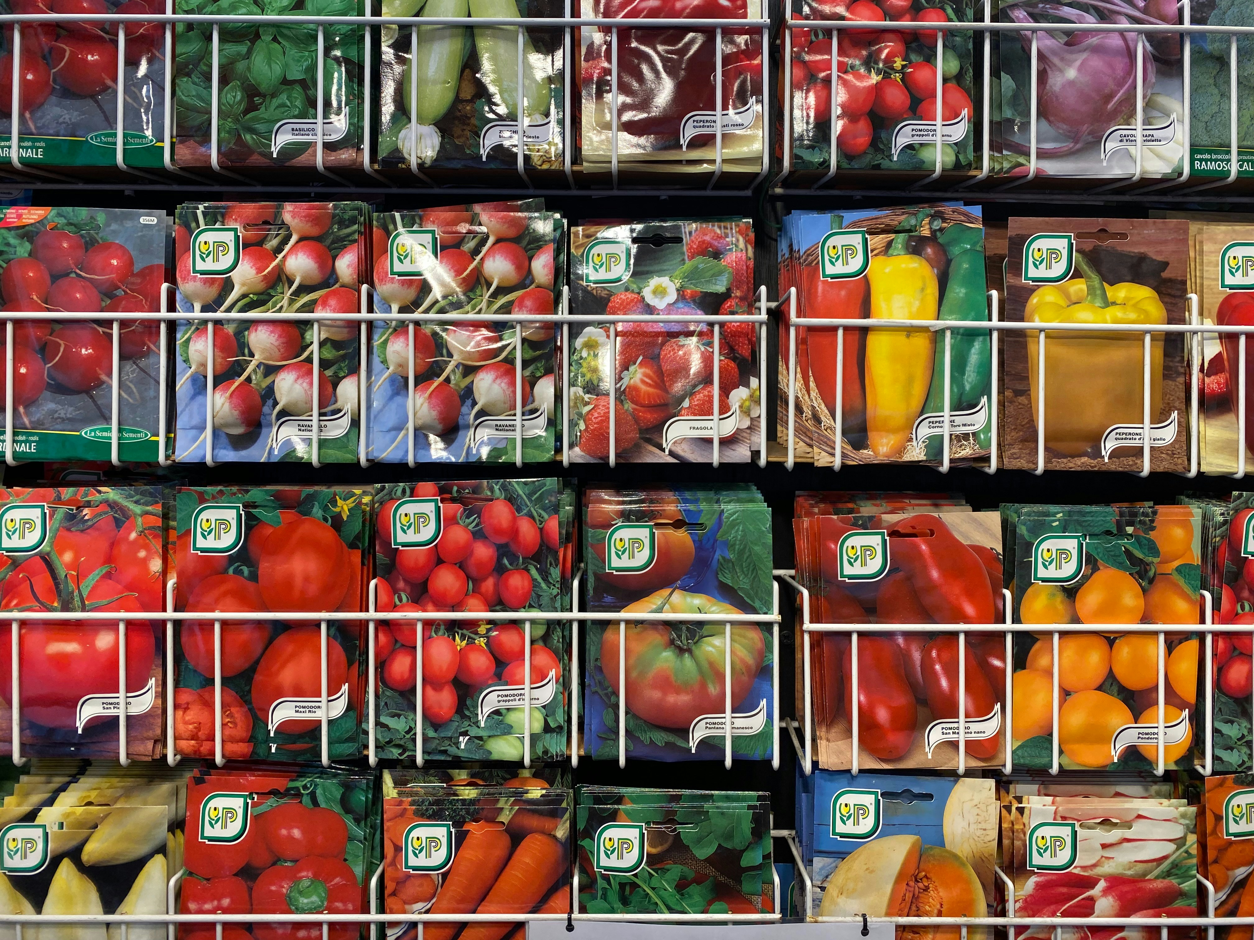 Perishable Goods Forecasting and Supply Chain Management: A 2026 Guide
