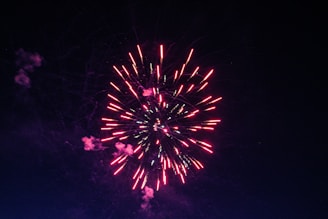 A colorful fireworks display in the night sky