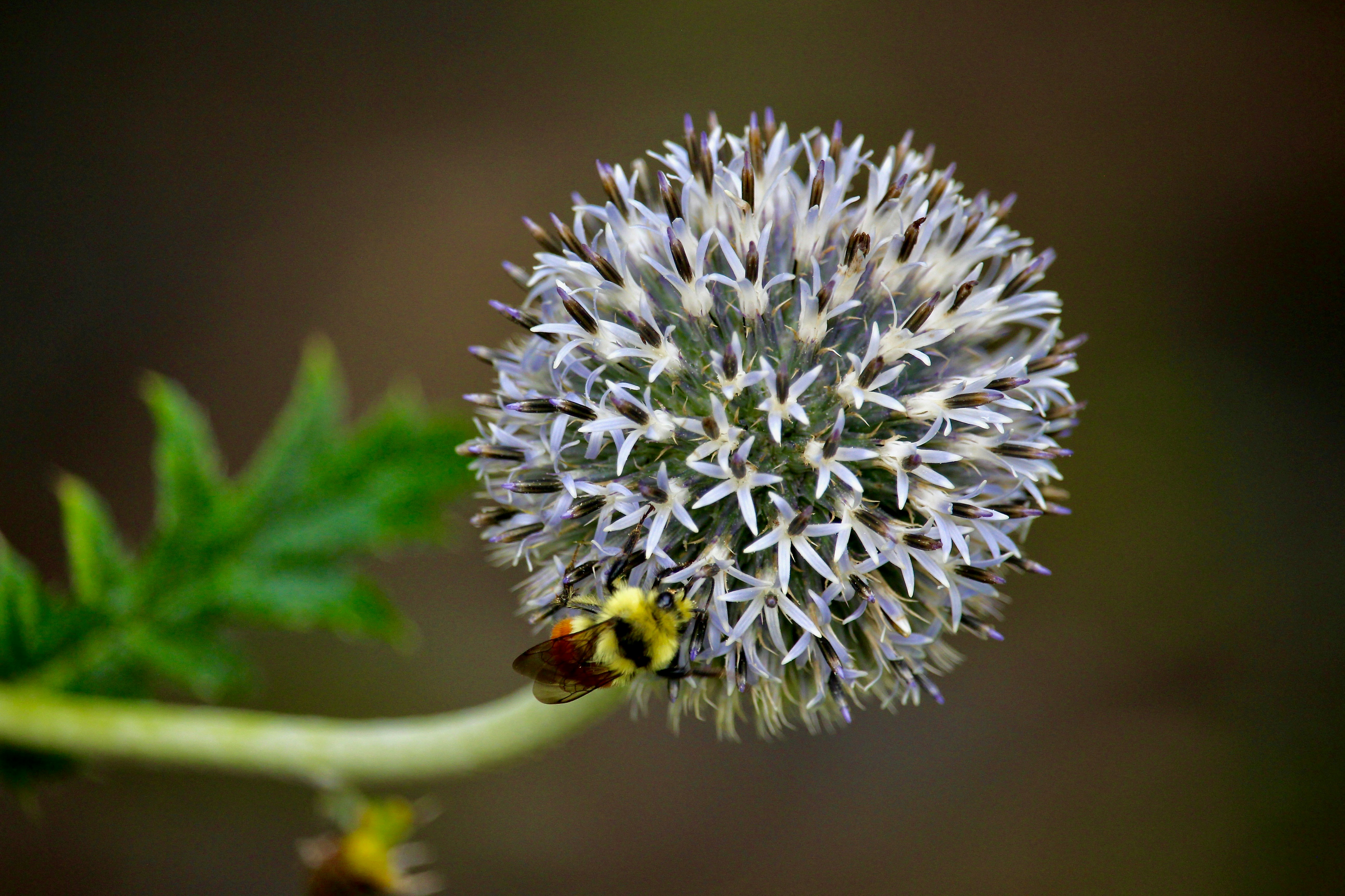 Photo by jemphatically