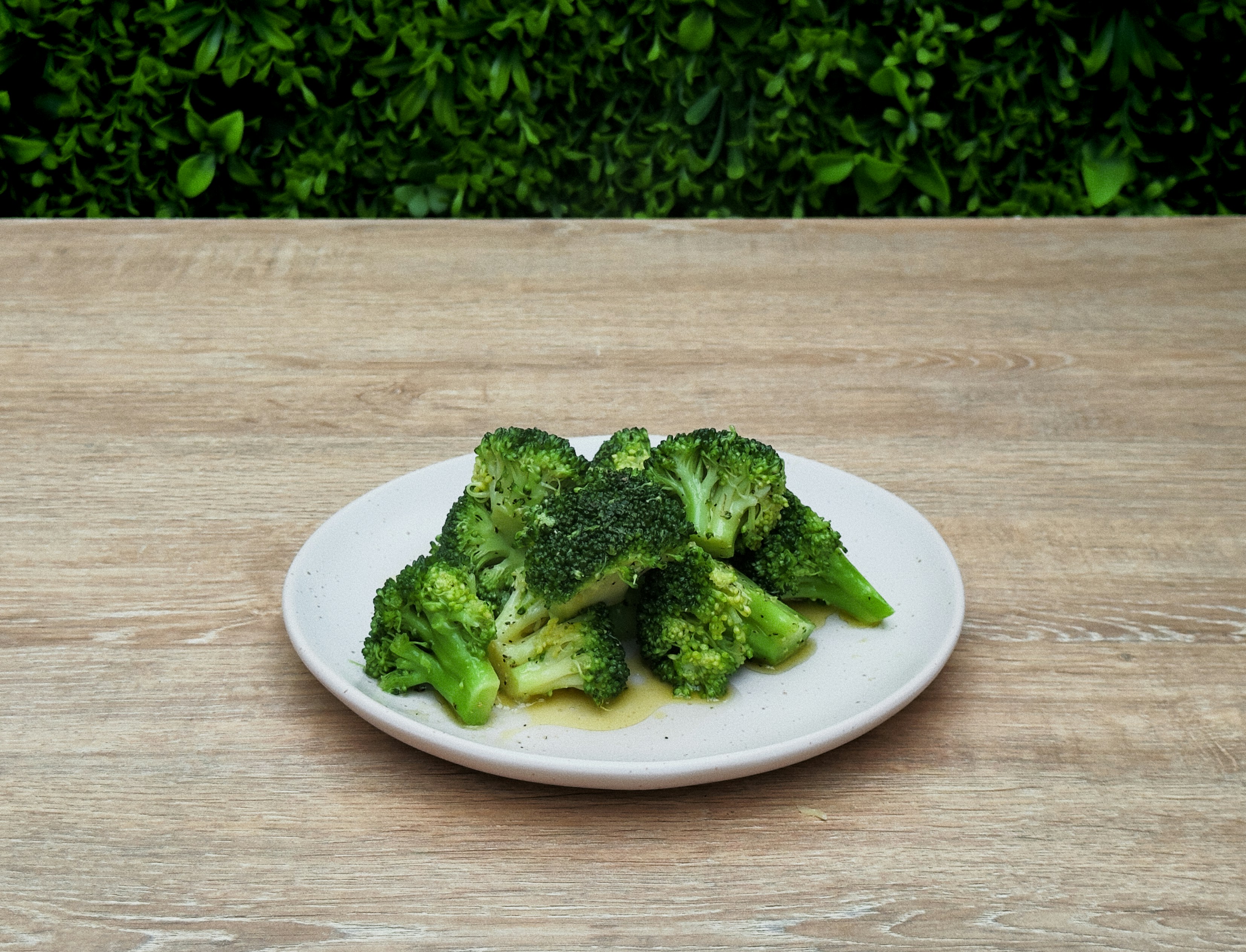 Photo by ginasauckland