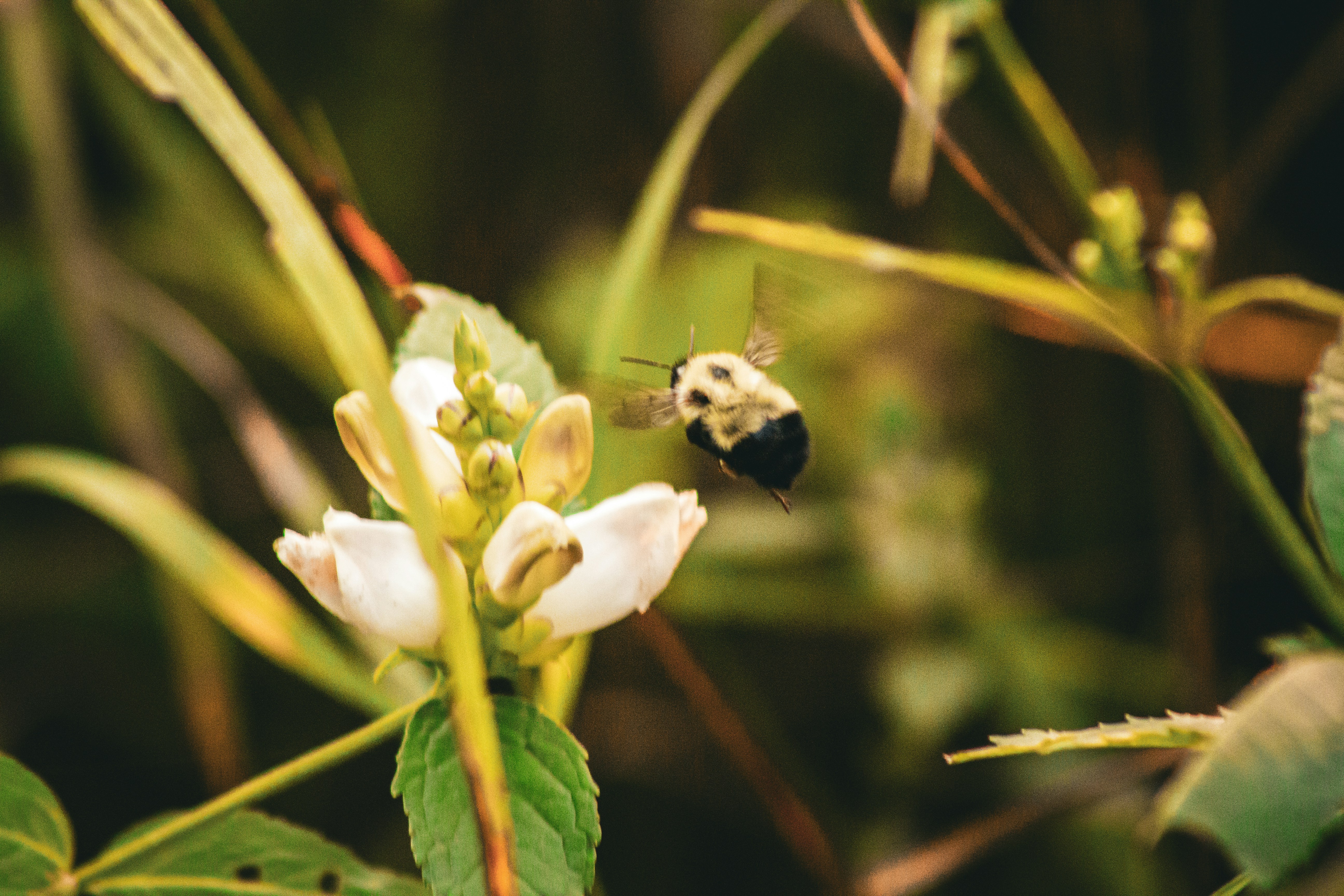 Photo by richiemortis