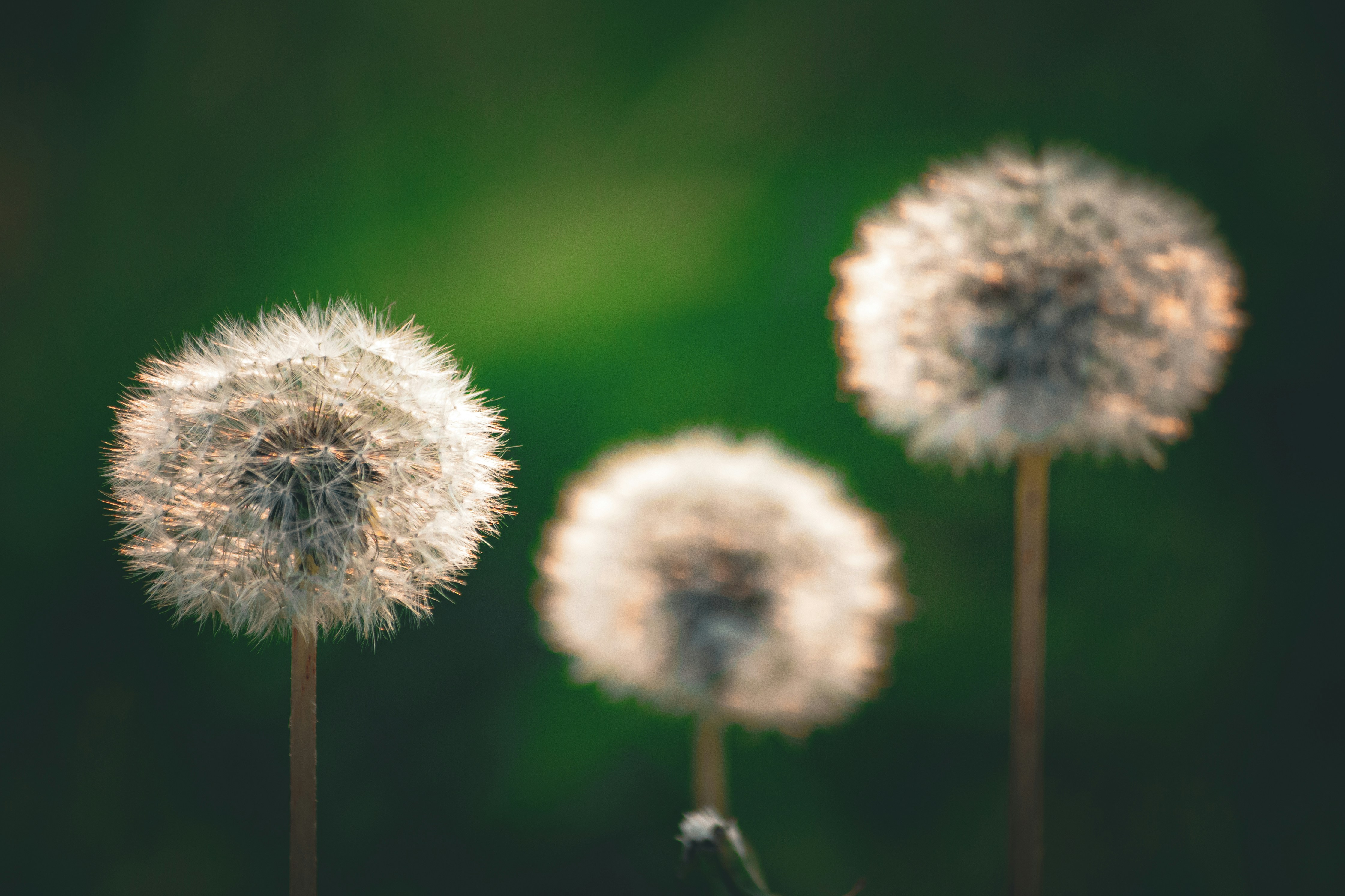 Photo by richiemortis