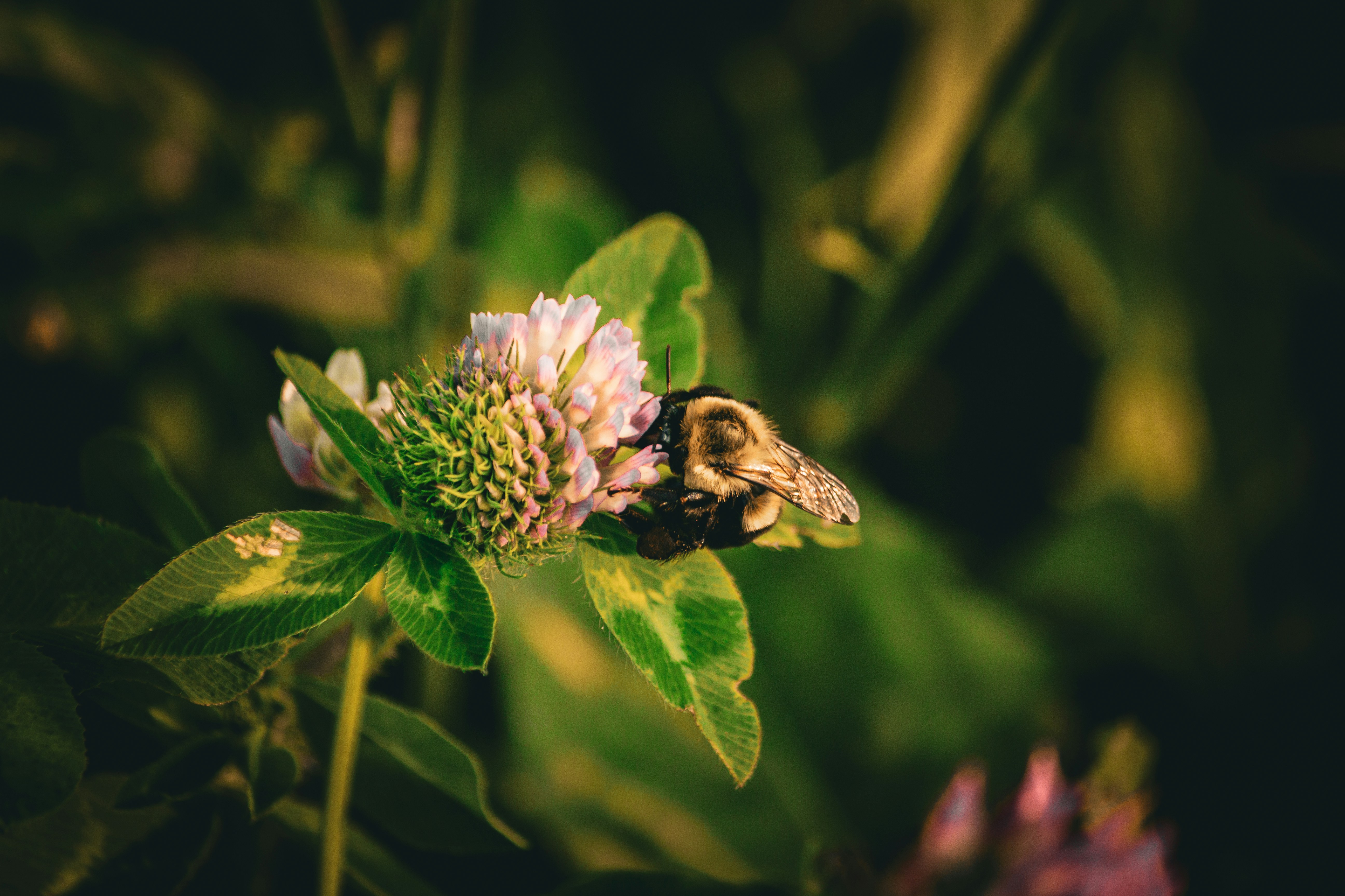 Photo by richiemortis