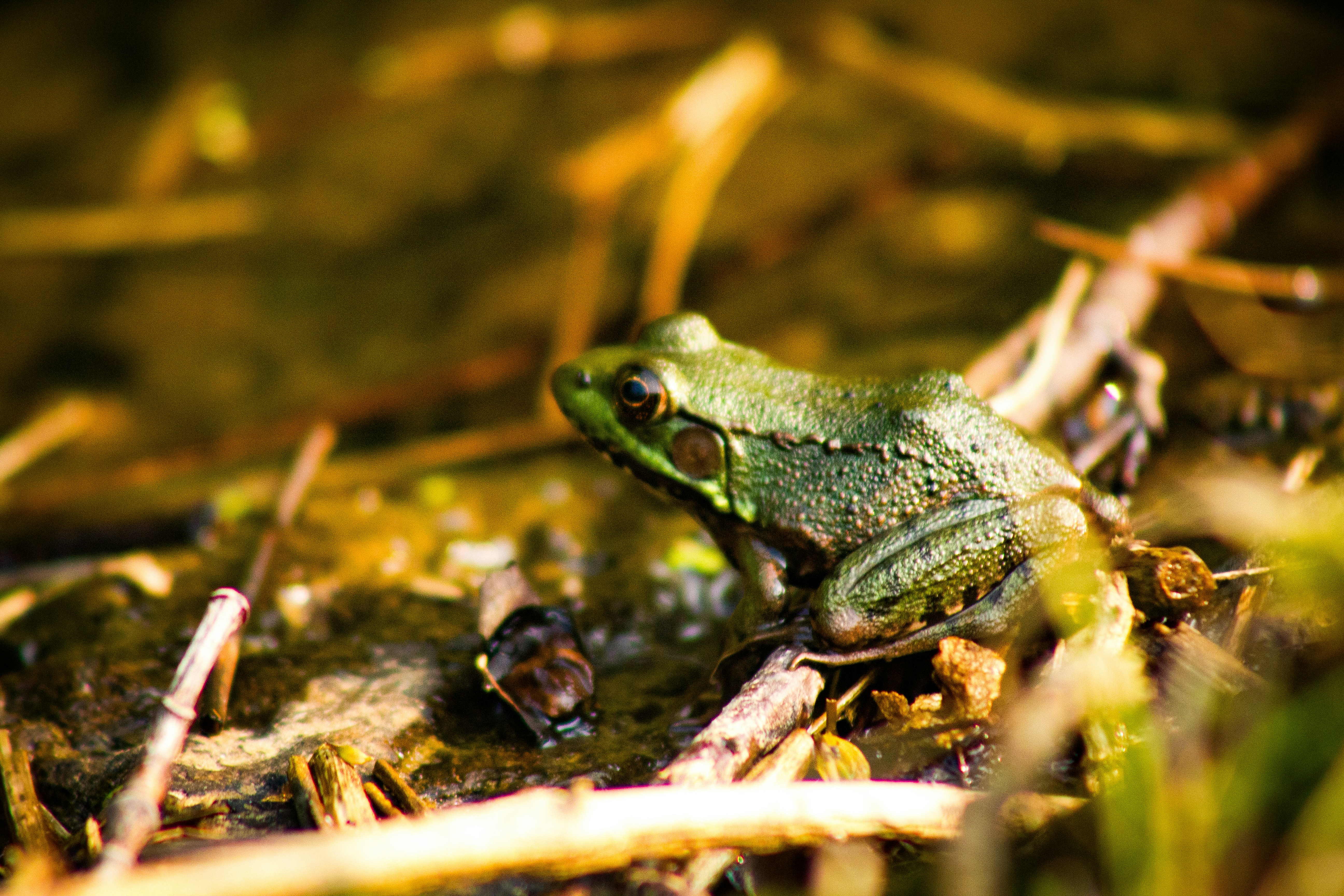 Photo by richiemortis