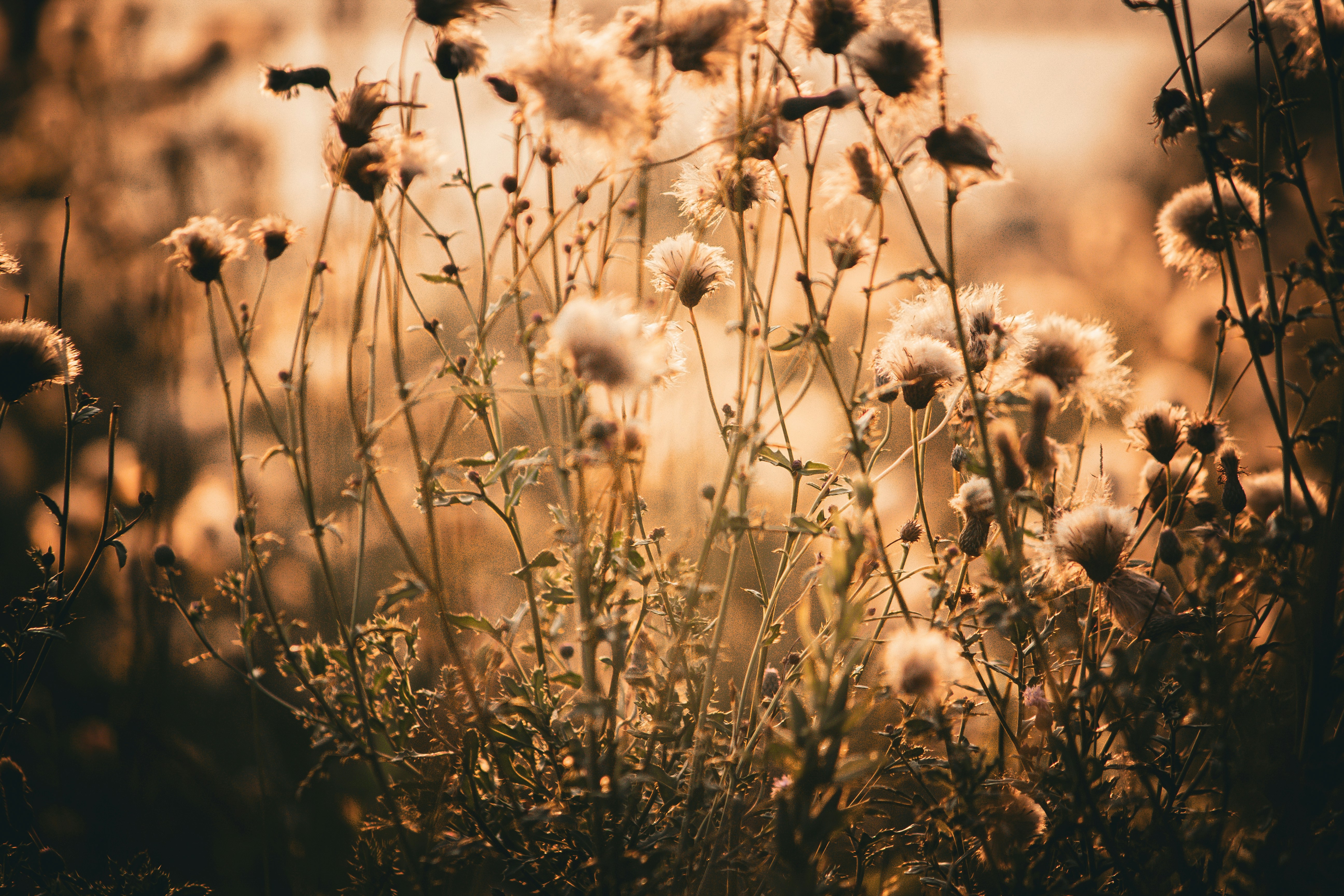 Photo by richiemortis