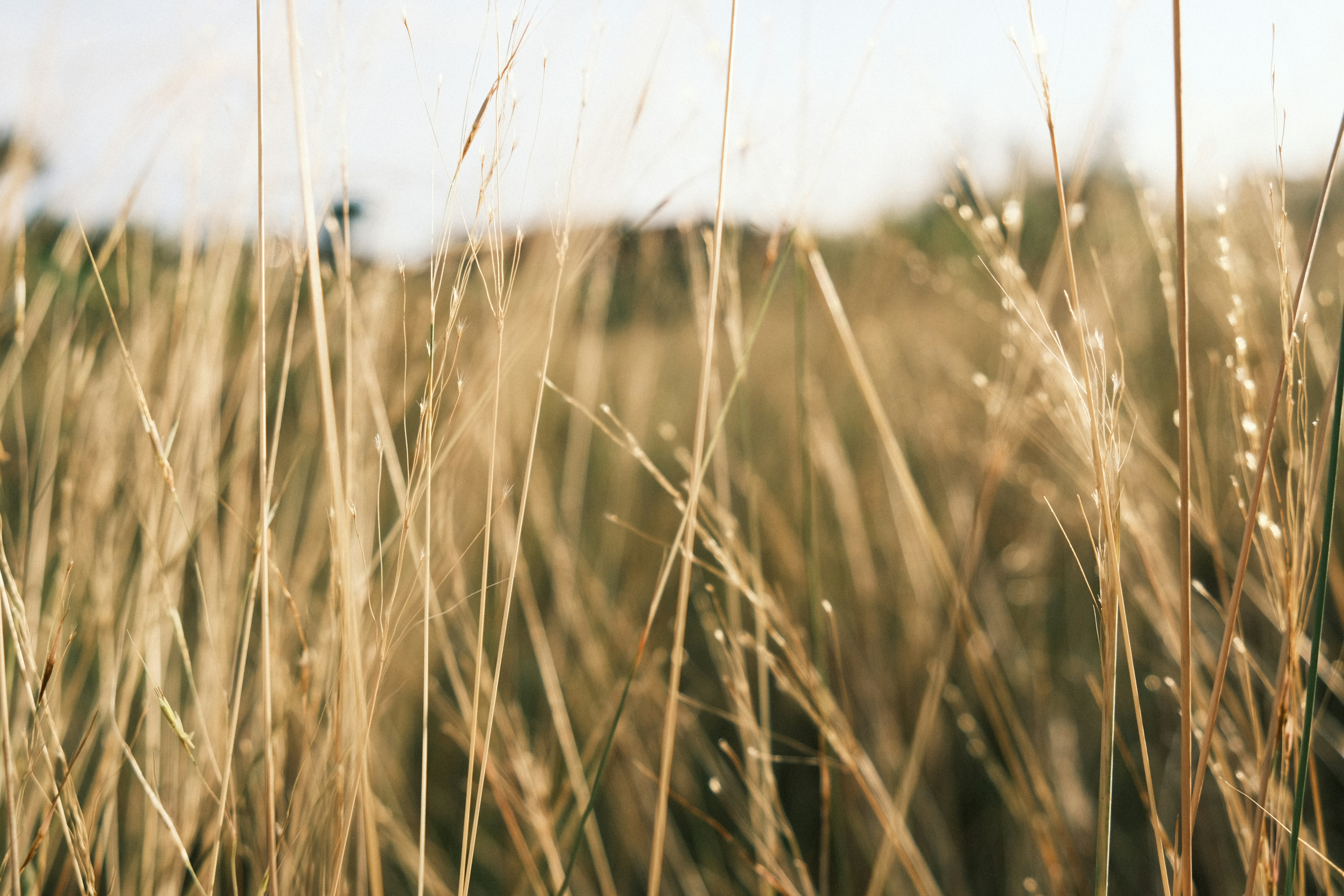 Photo by dvhoang2106