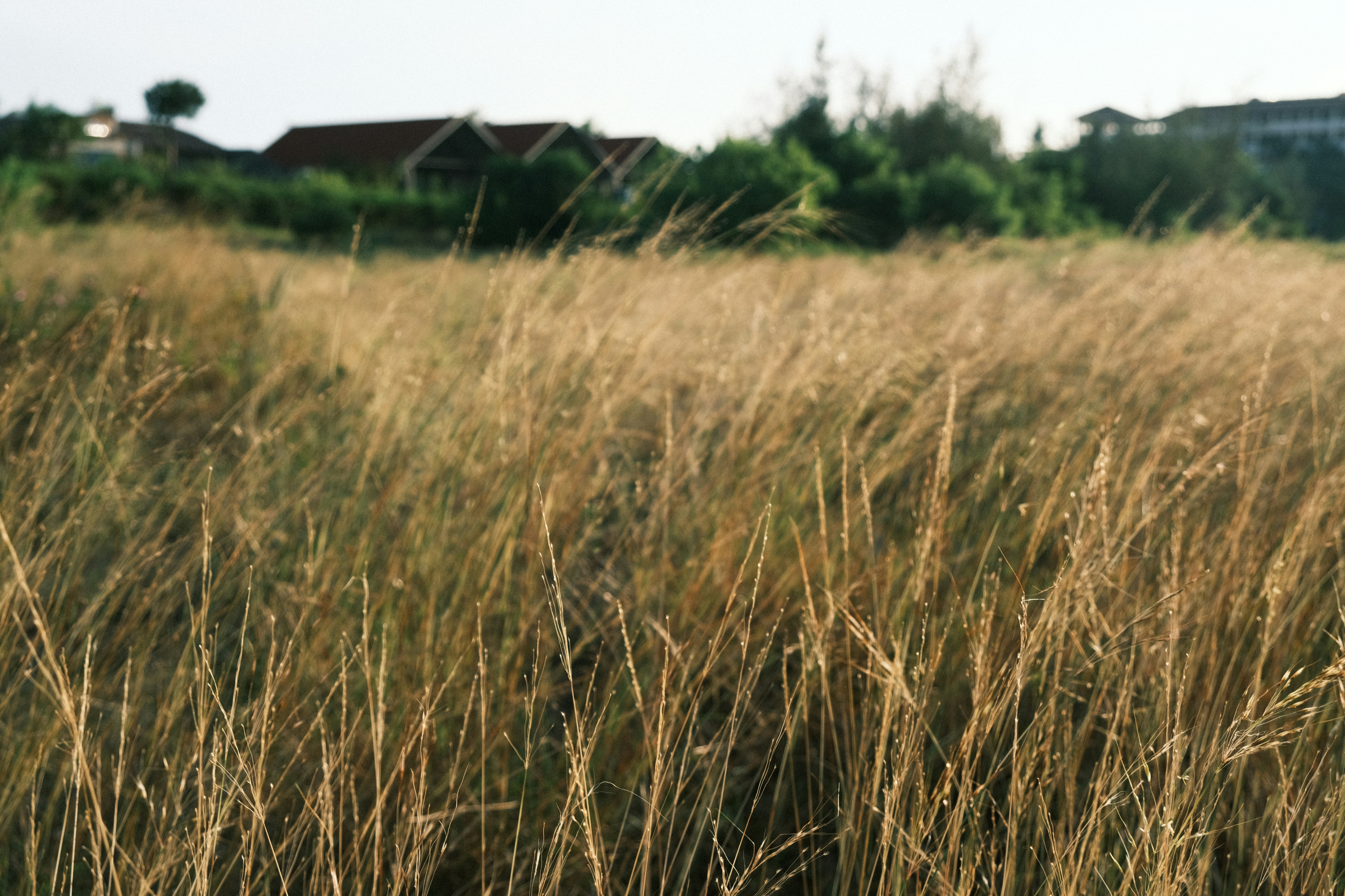 Photo by dvhoang2106