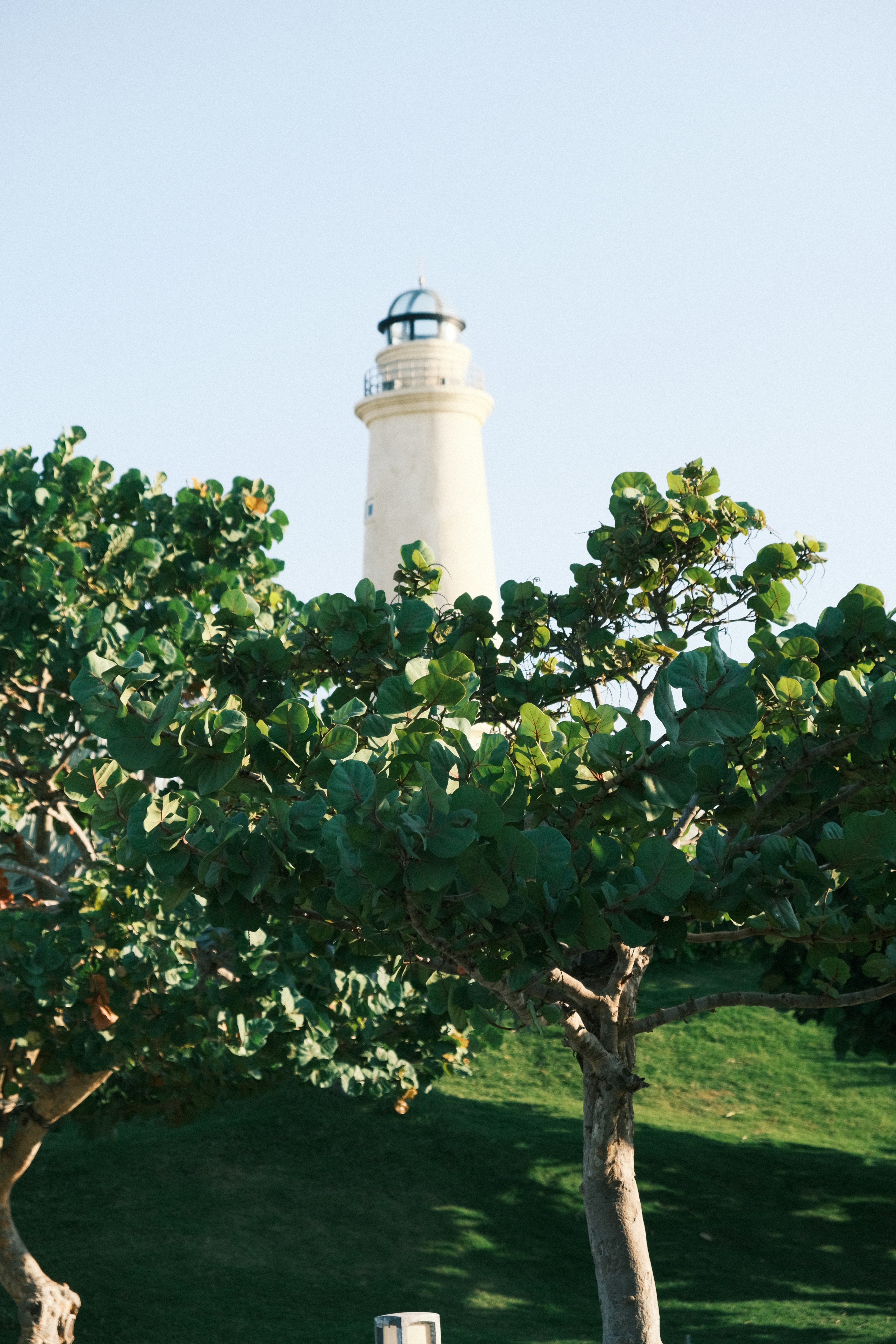 Photo by dvhoang2106