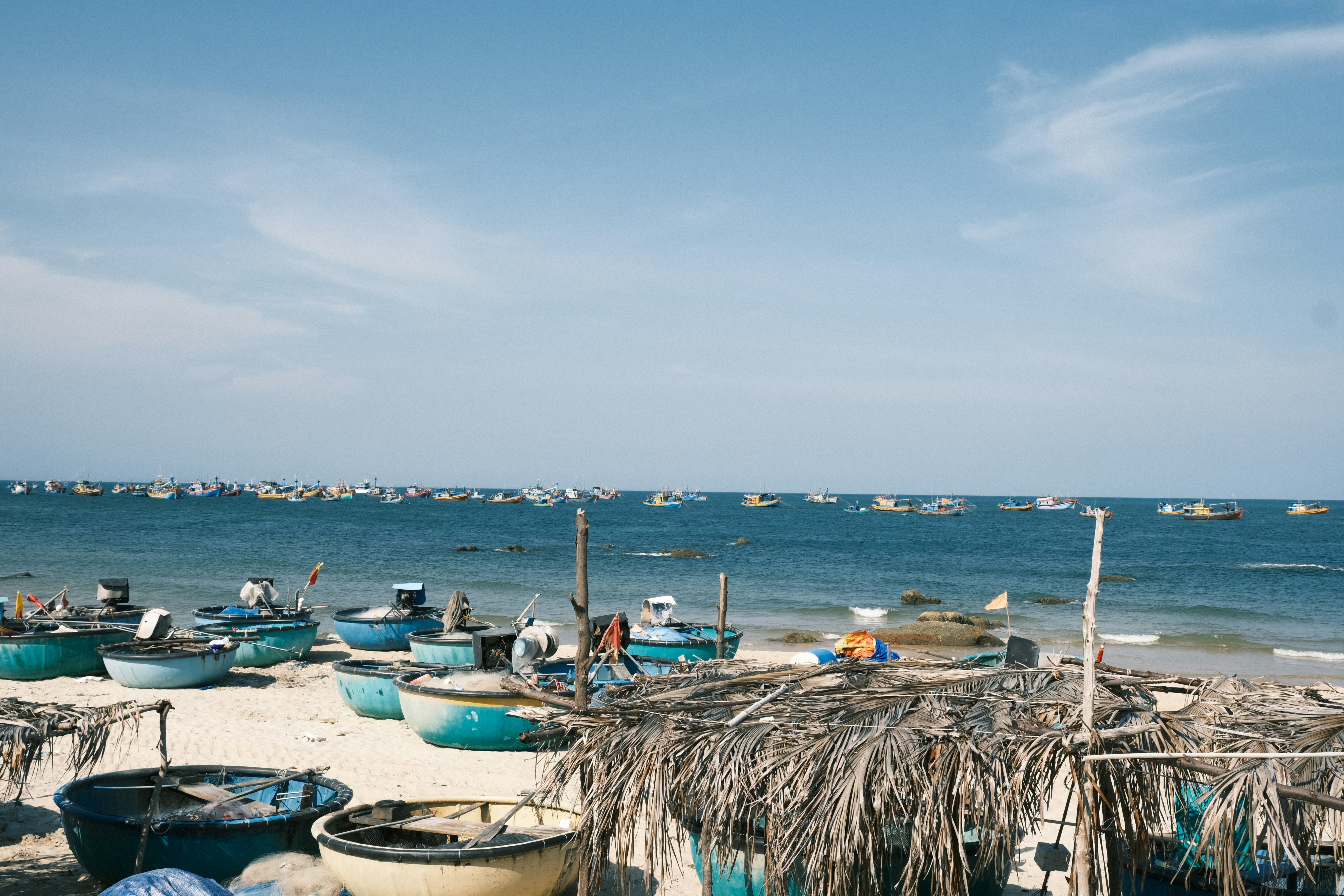 Photo by dvhoang2106