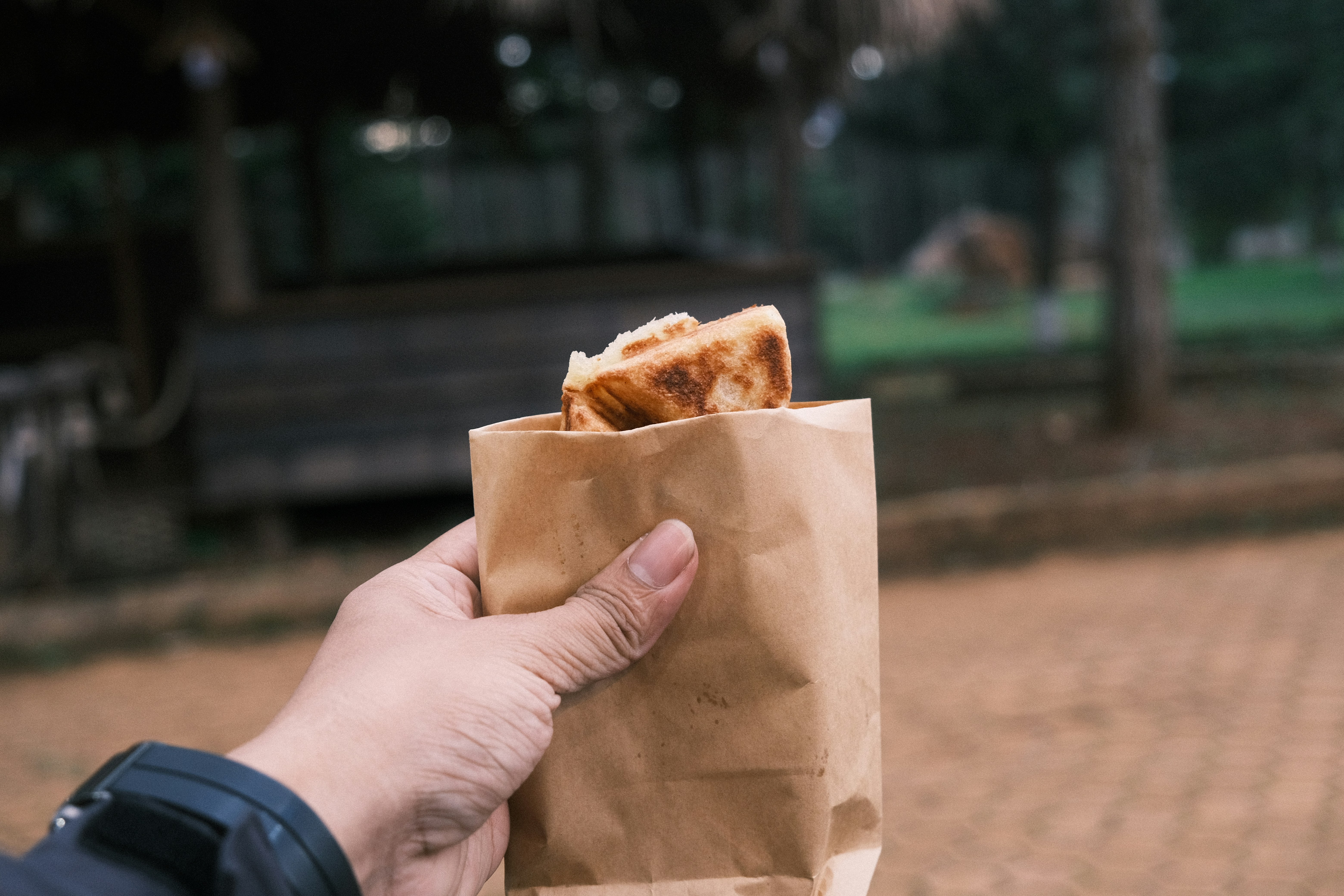 Photo by dvhoang2106