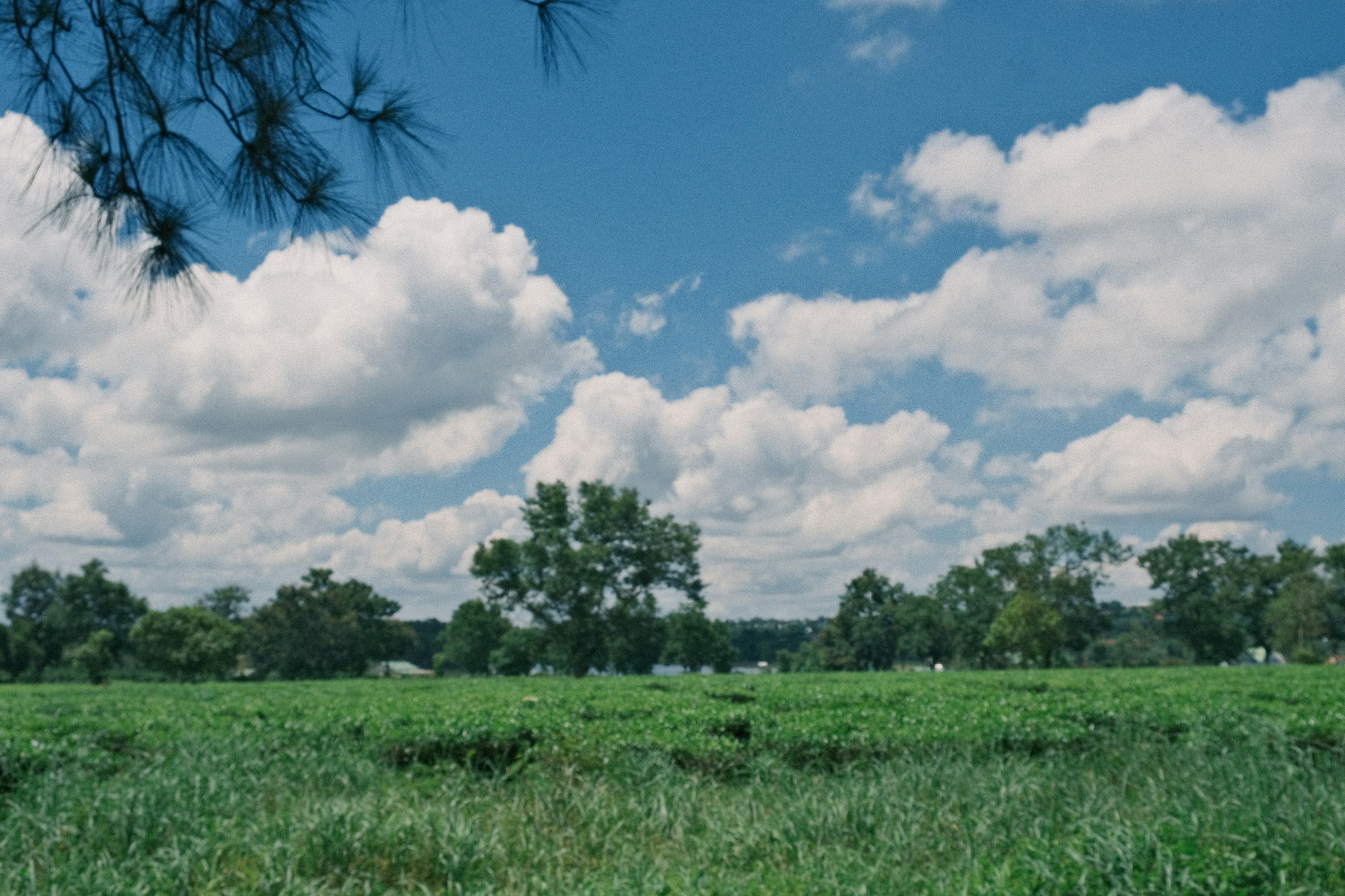 Photo by dvhoang2106