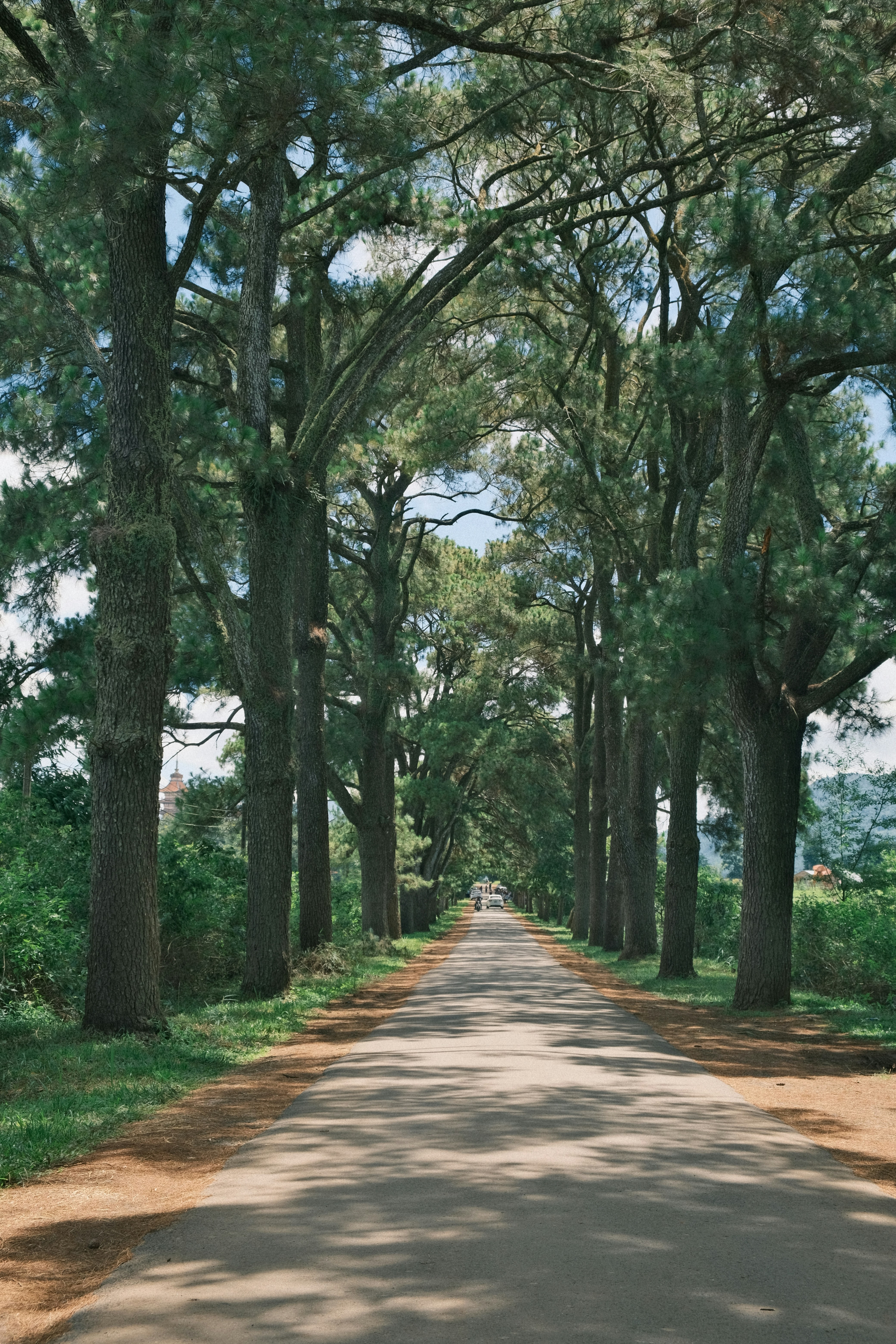 Photo by dvhoang2106