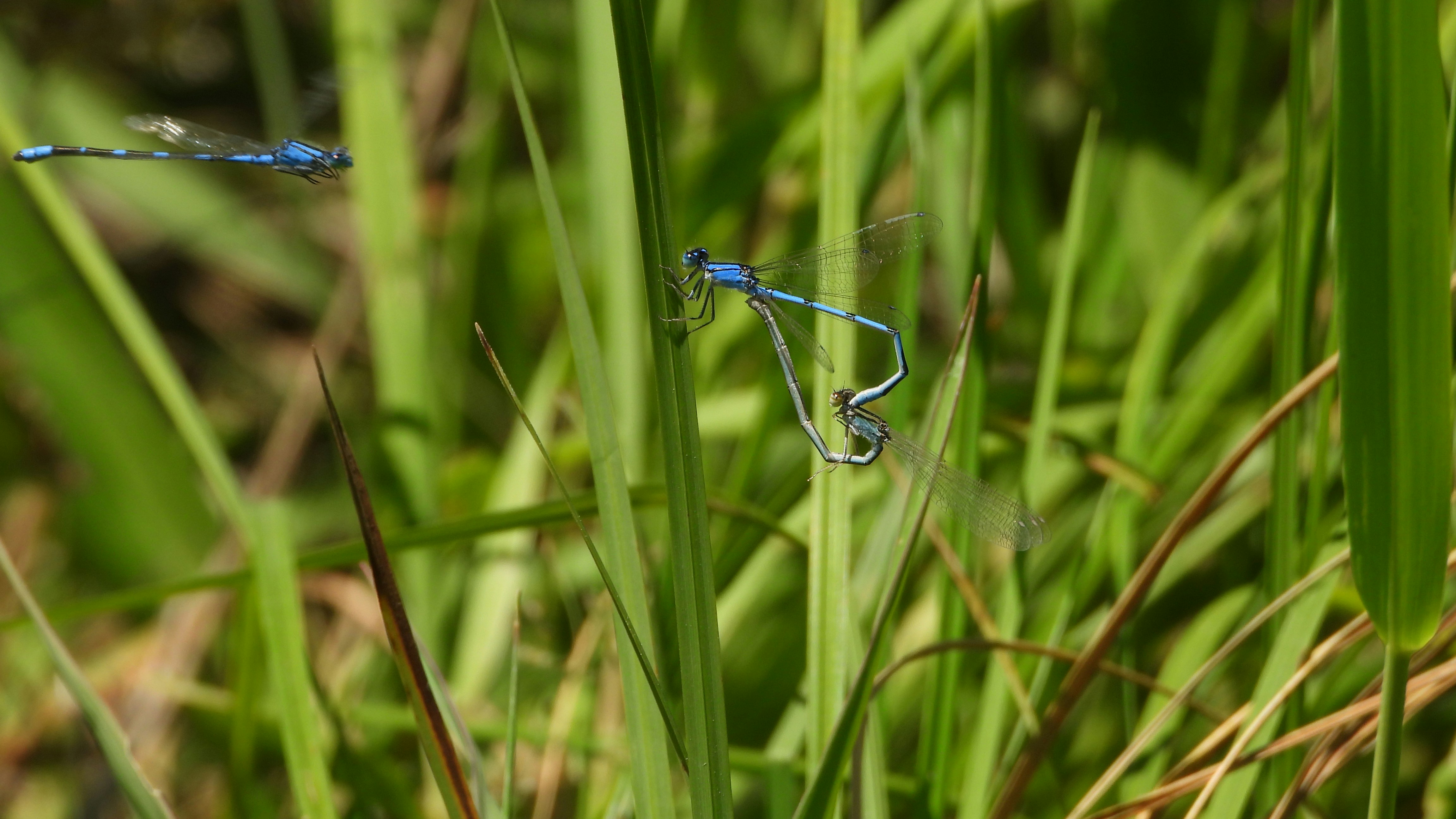 Photo by evergreene24