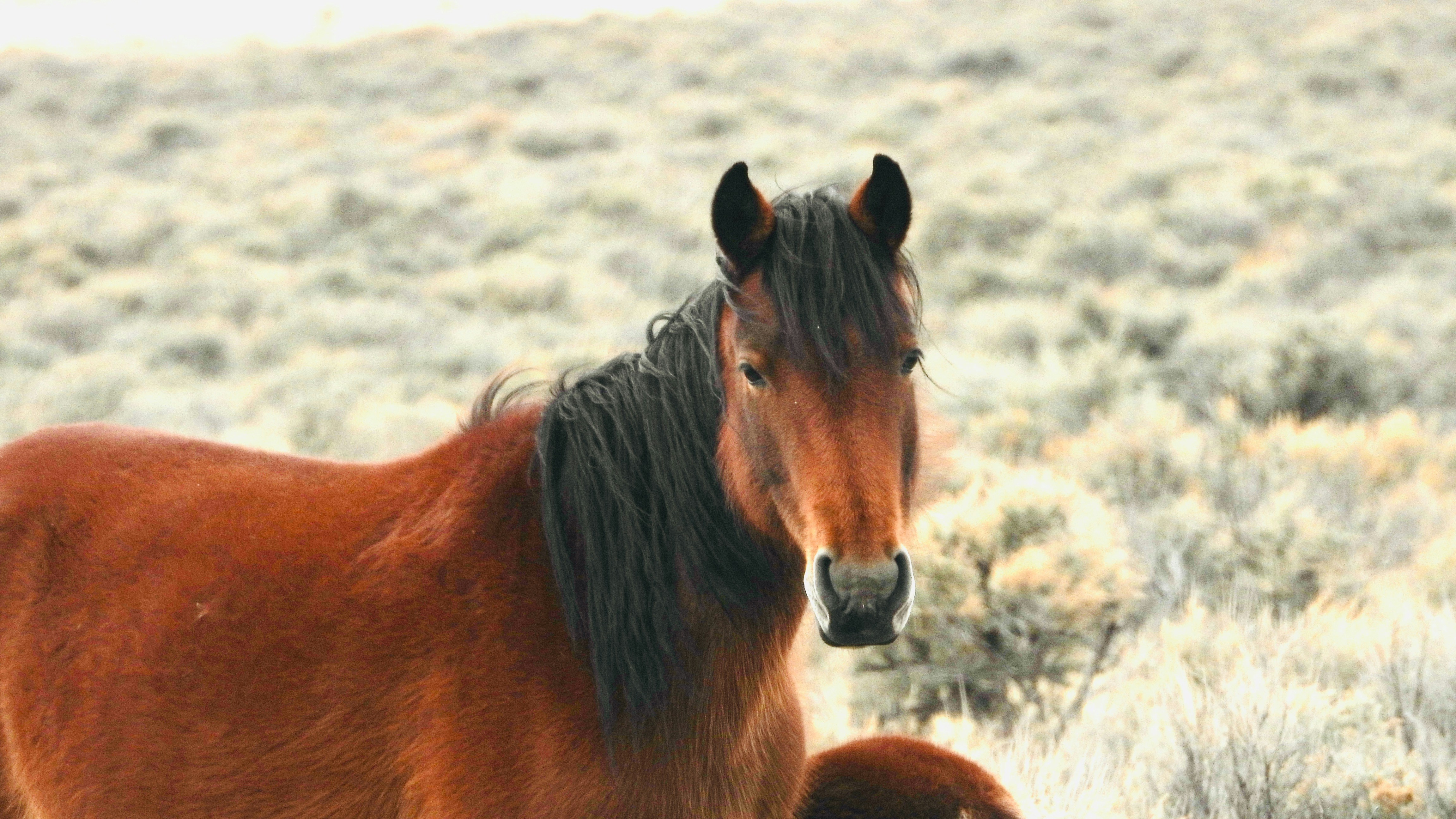 Photo by evergreene24