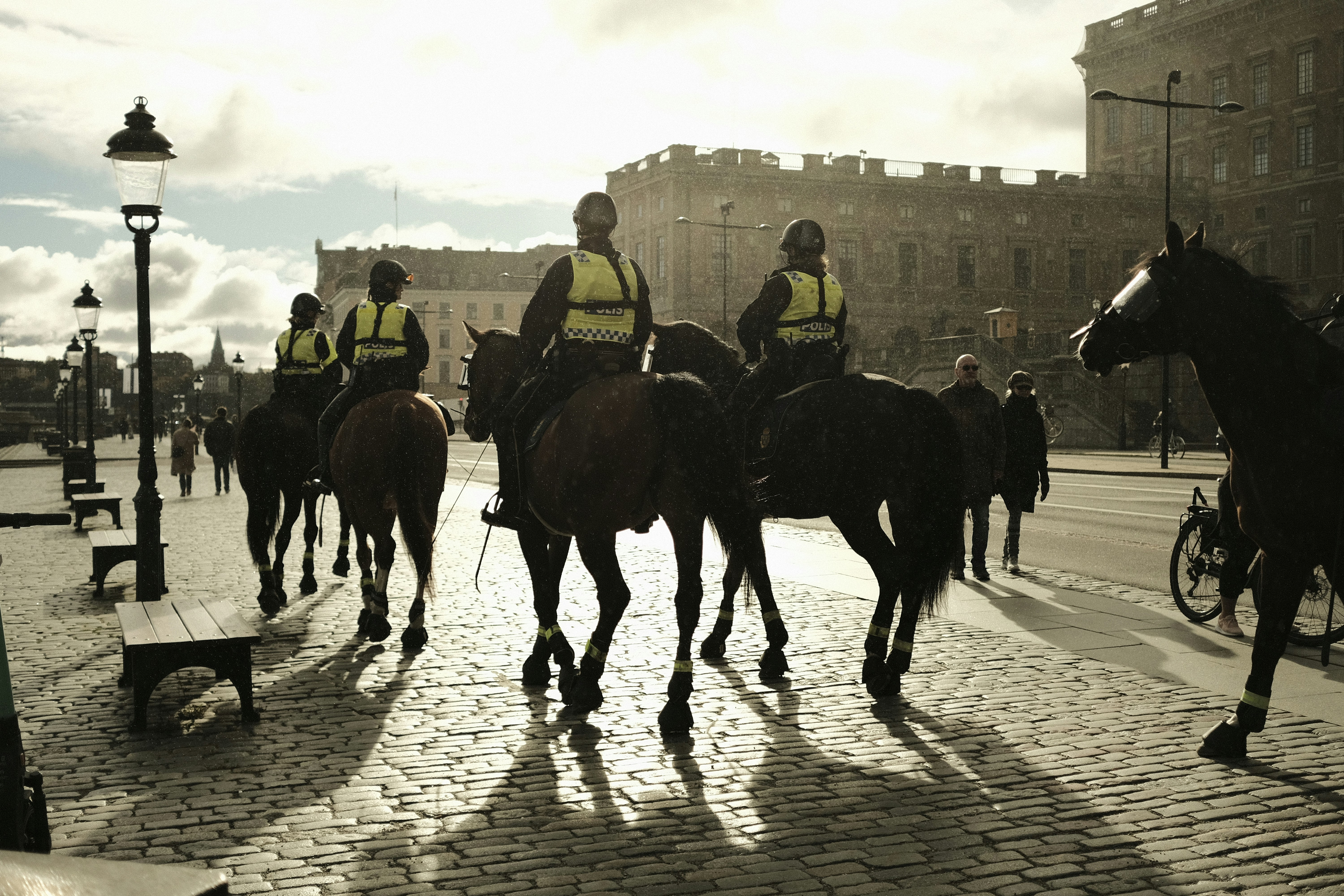 A group of people riding on the backs of horses
