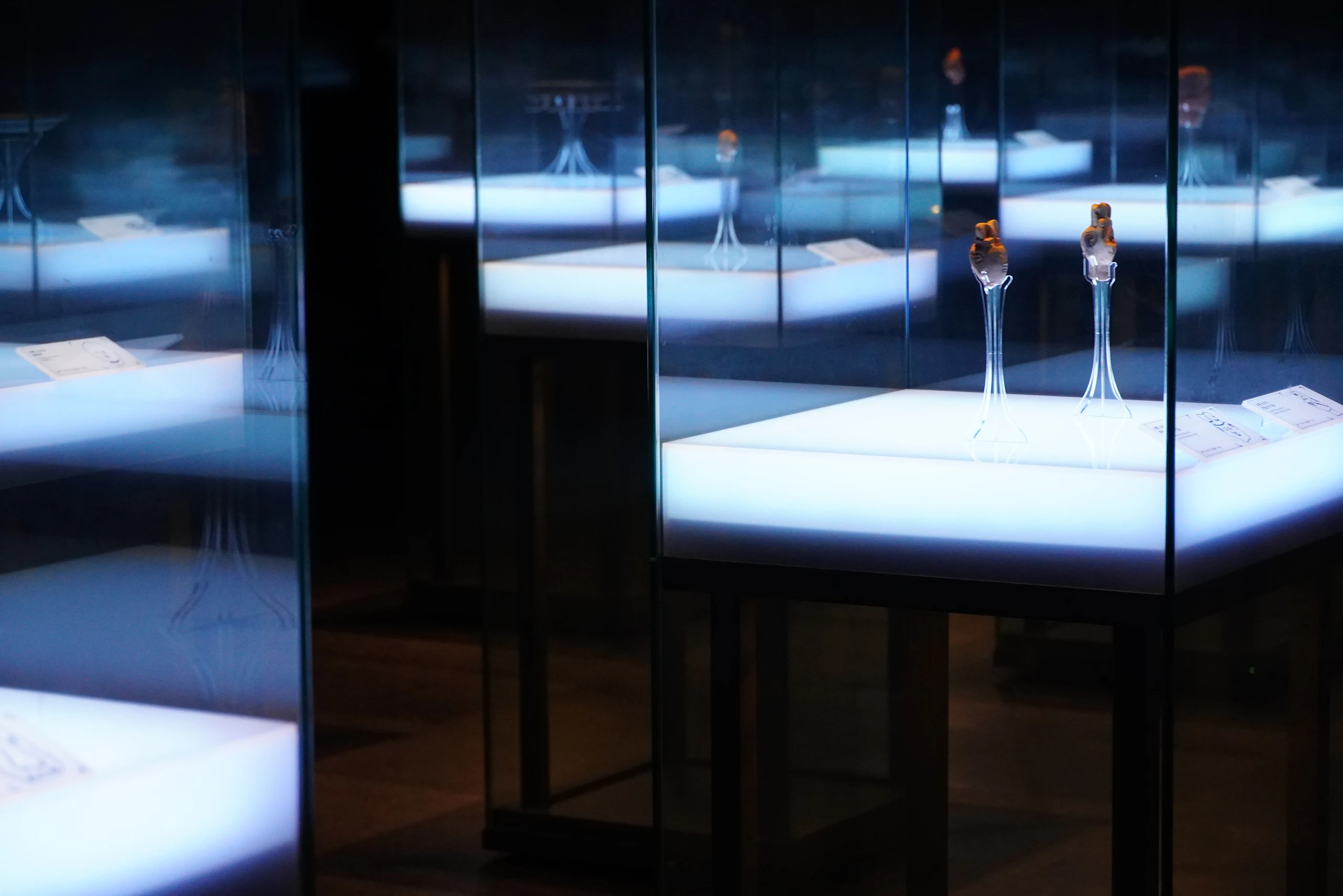 Salle d’exposition sombre ponctuée de vitrines lumineuses