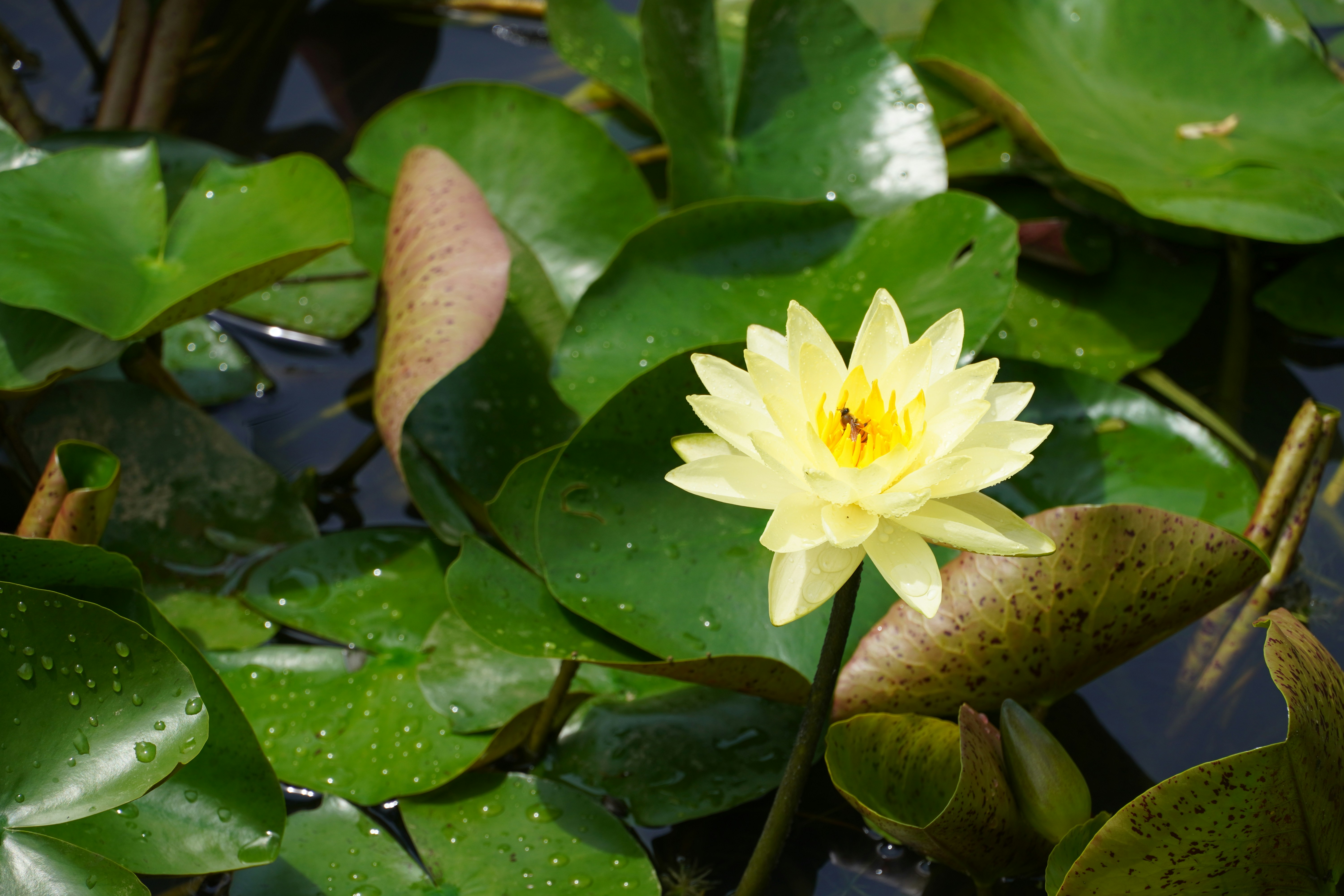 Photo by lifeinkorea