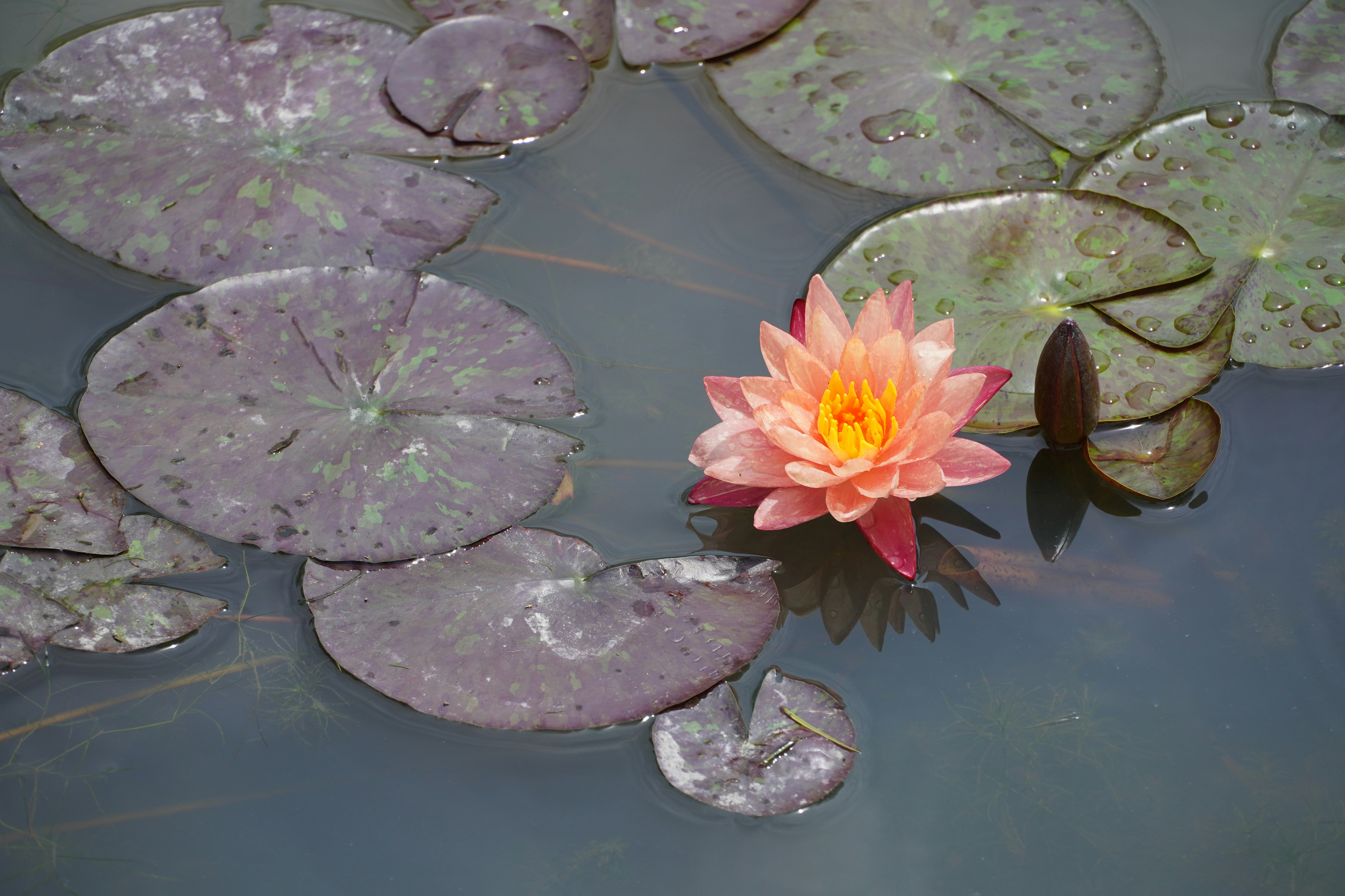 Photo by lifeinkorea