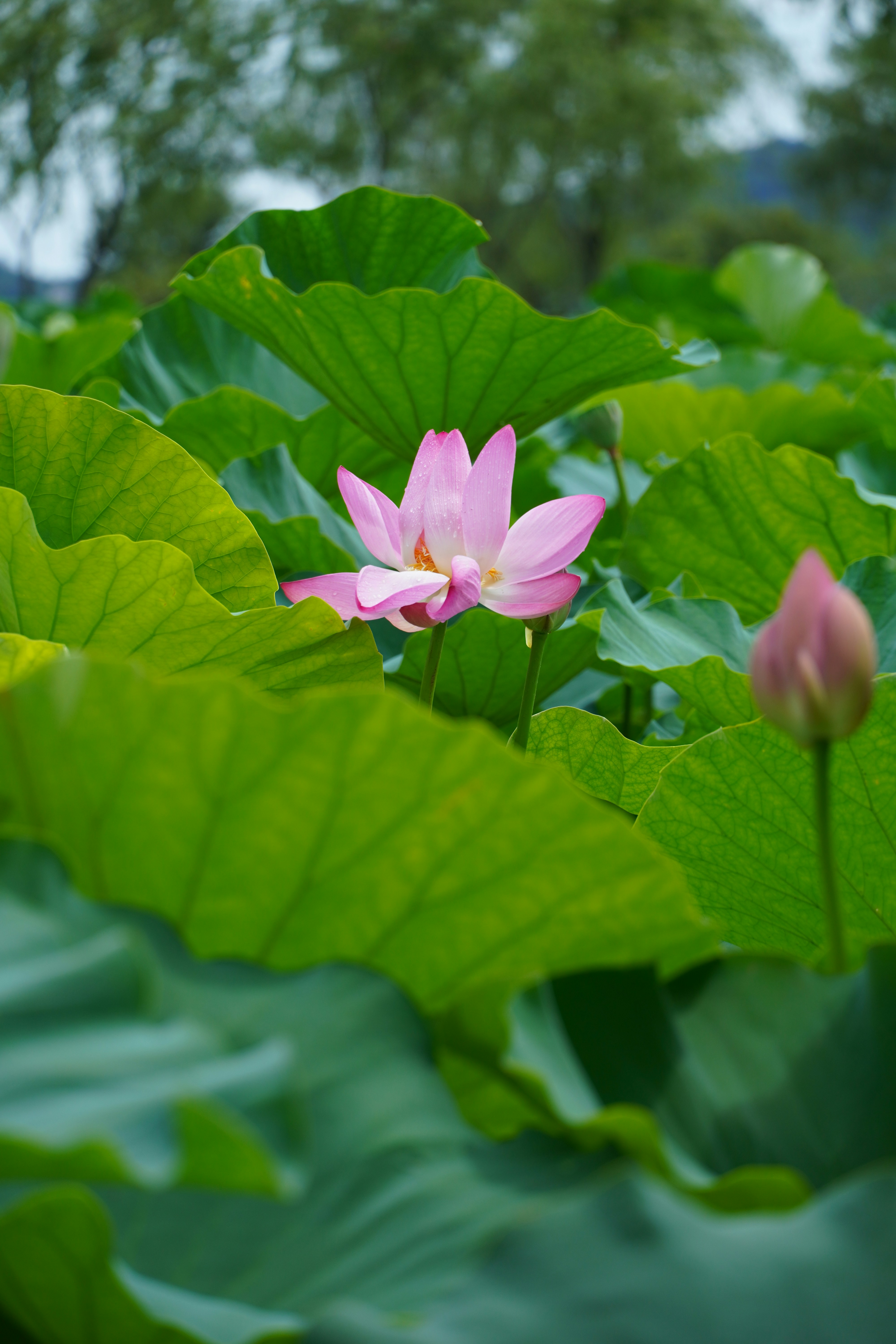 Photo by lifeinkorea