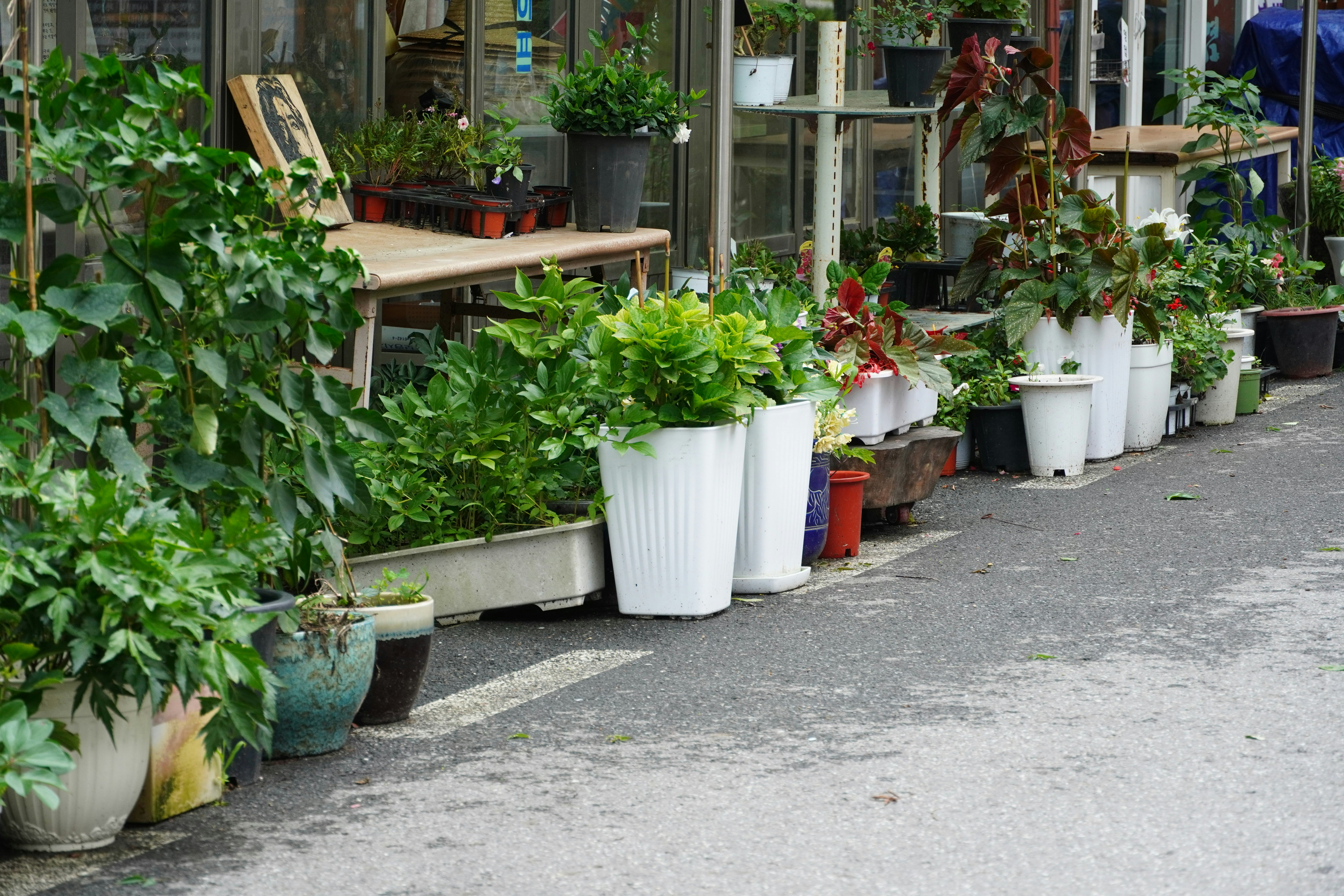 Photo by lifeinkorea