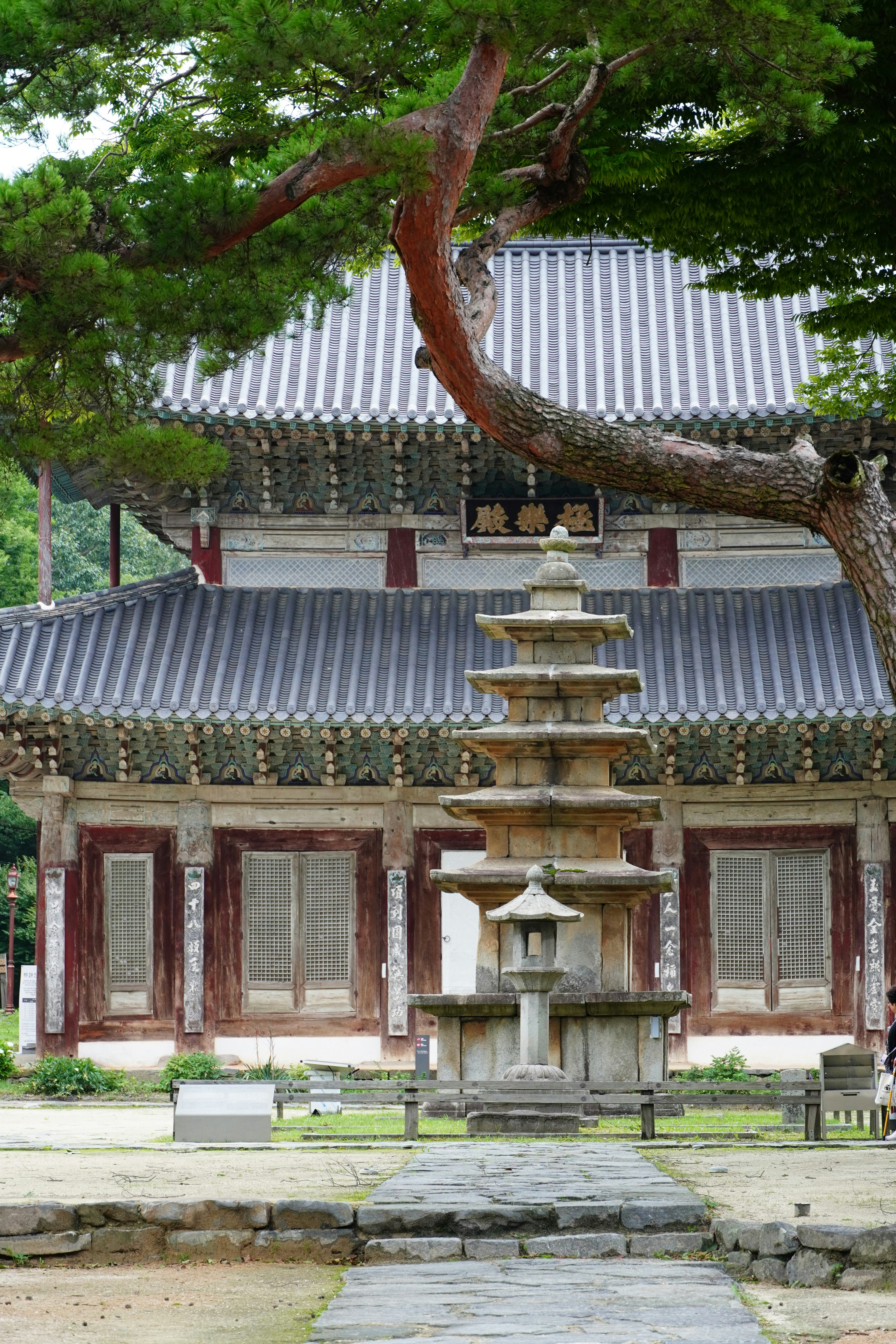 Photo by lifeinkorea