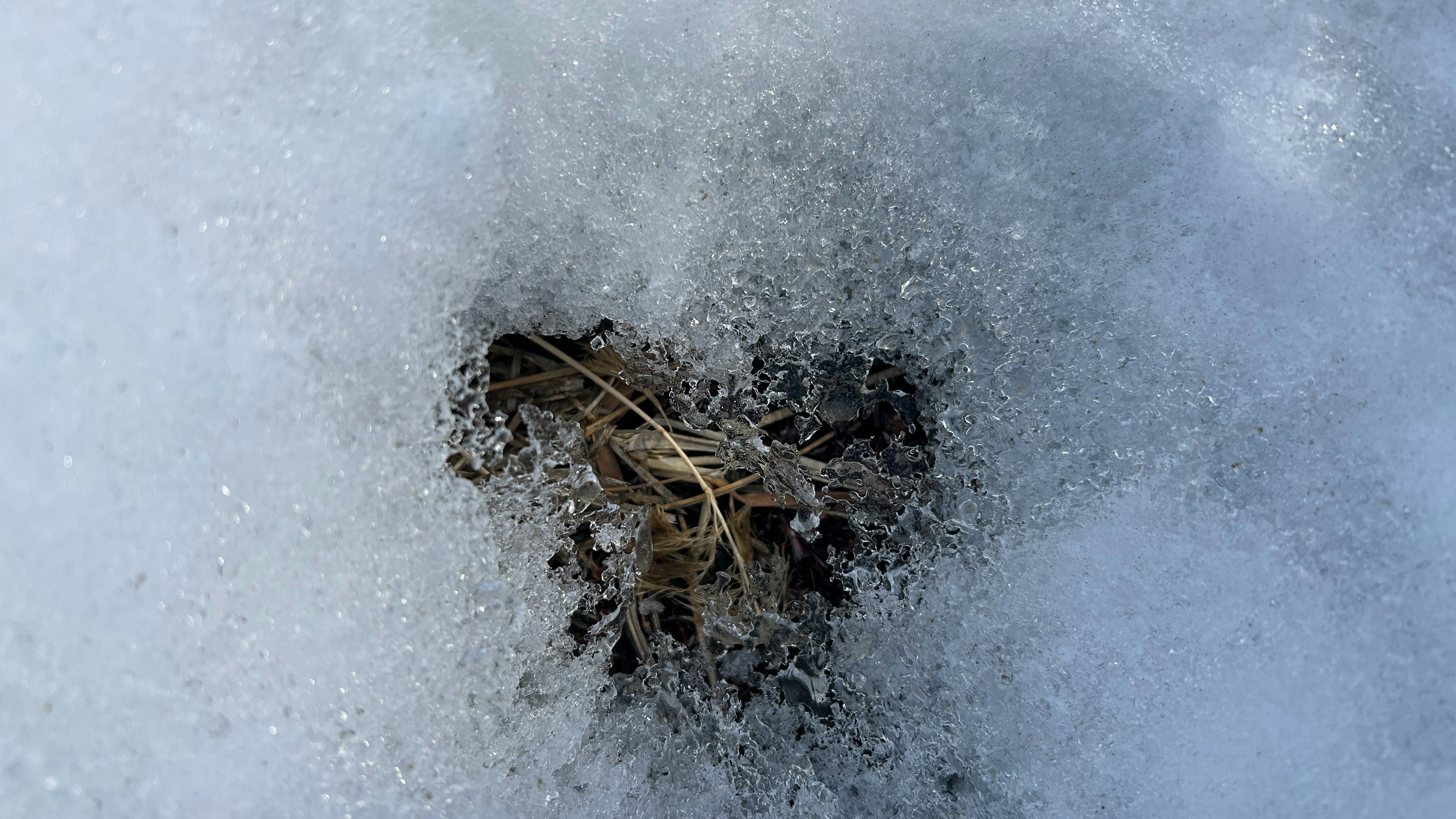 Conclusion (image credits: unsplash)