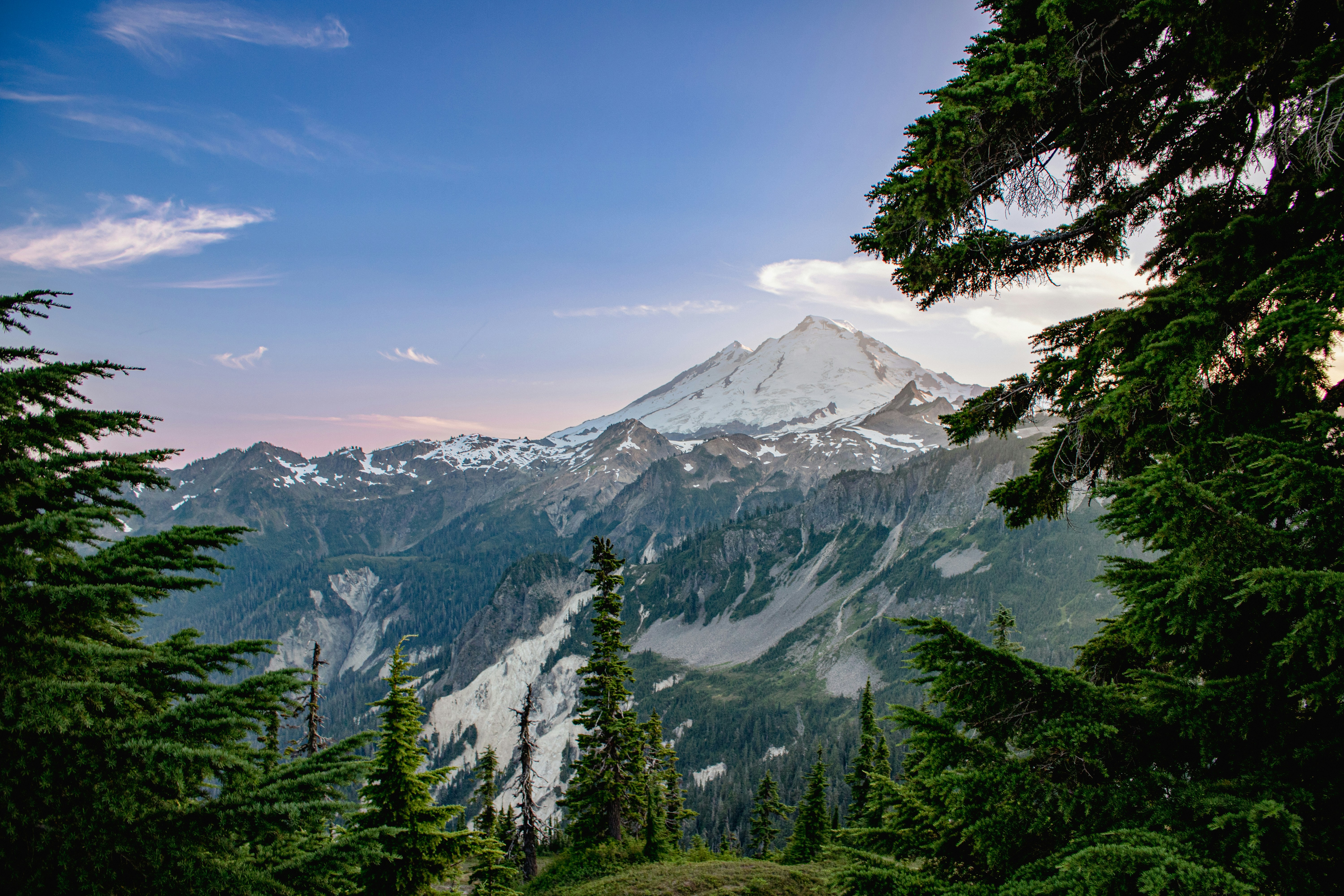 Photo by zoshuacolah