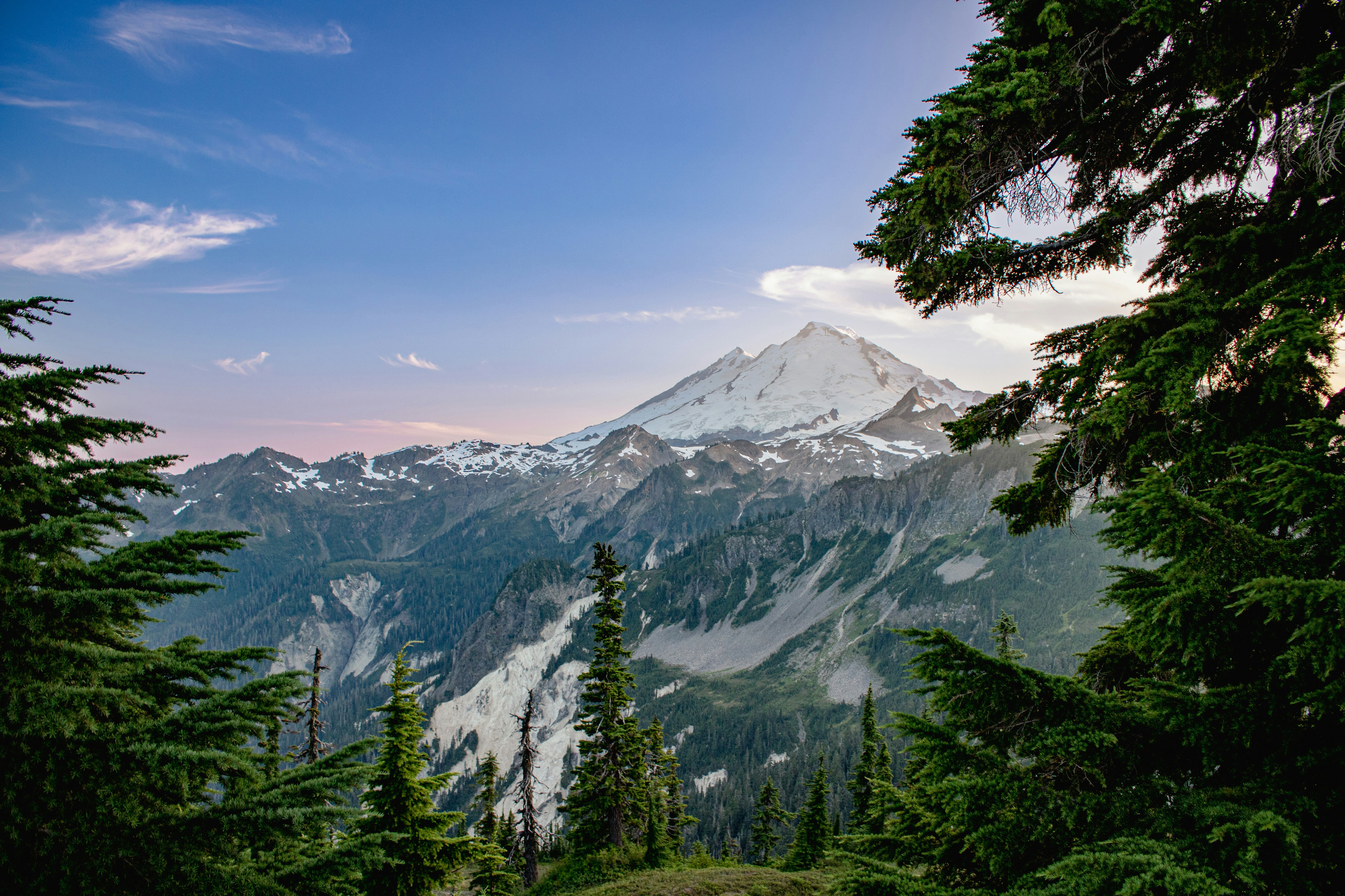 Photo by zoshuacolah