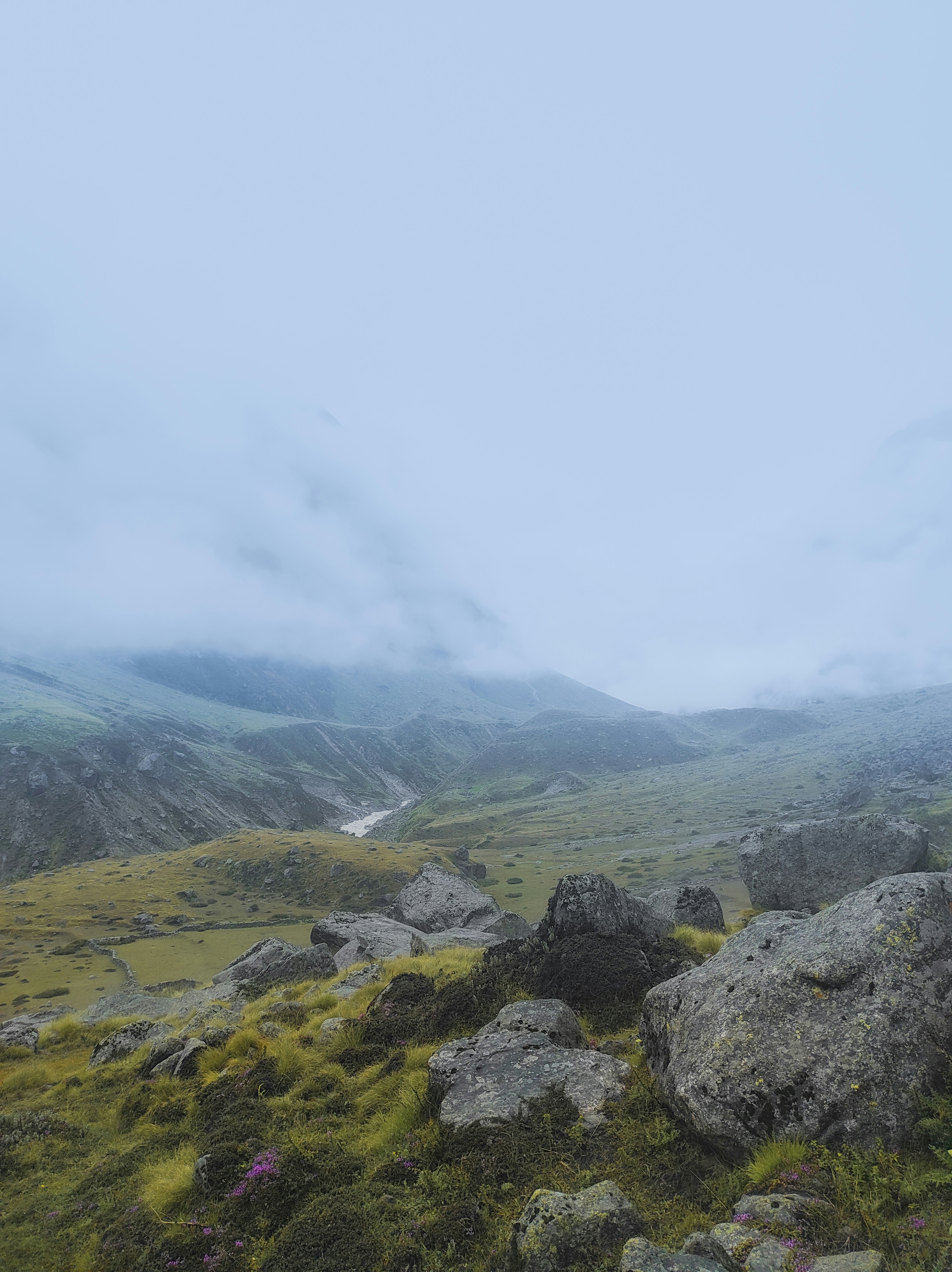 Photo by rohanshah657