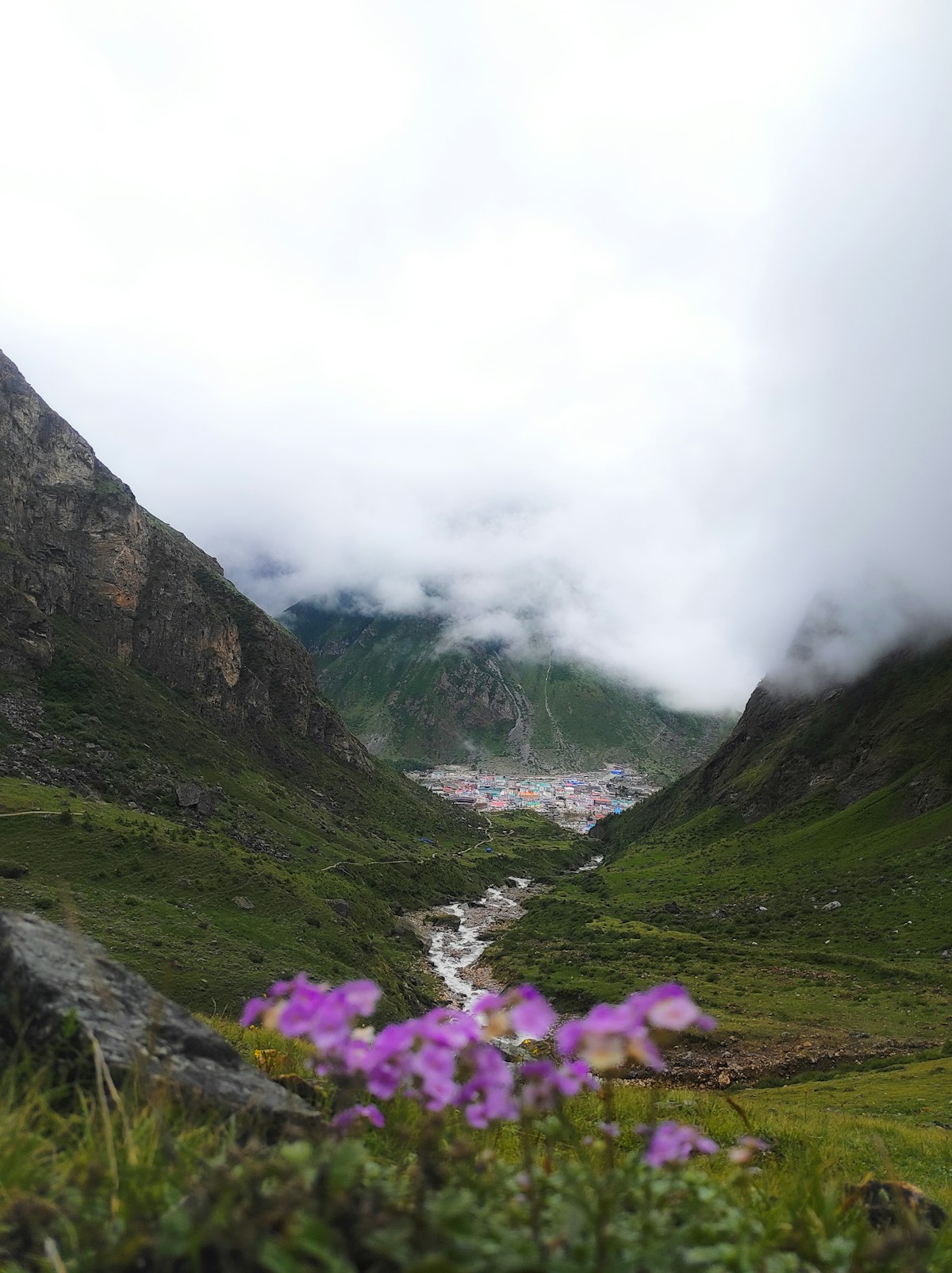 Valley of Flowers Uttarakhand colorful wildflower meadow