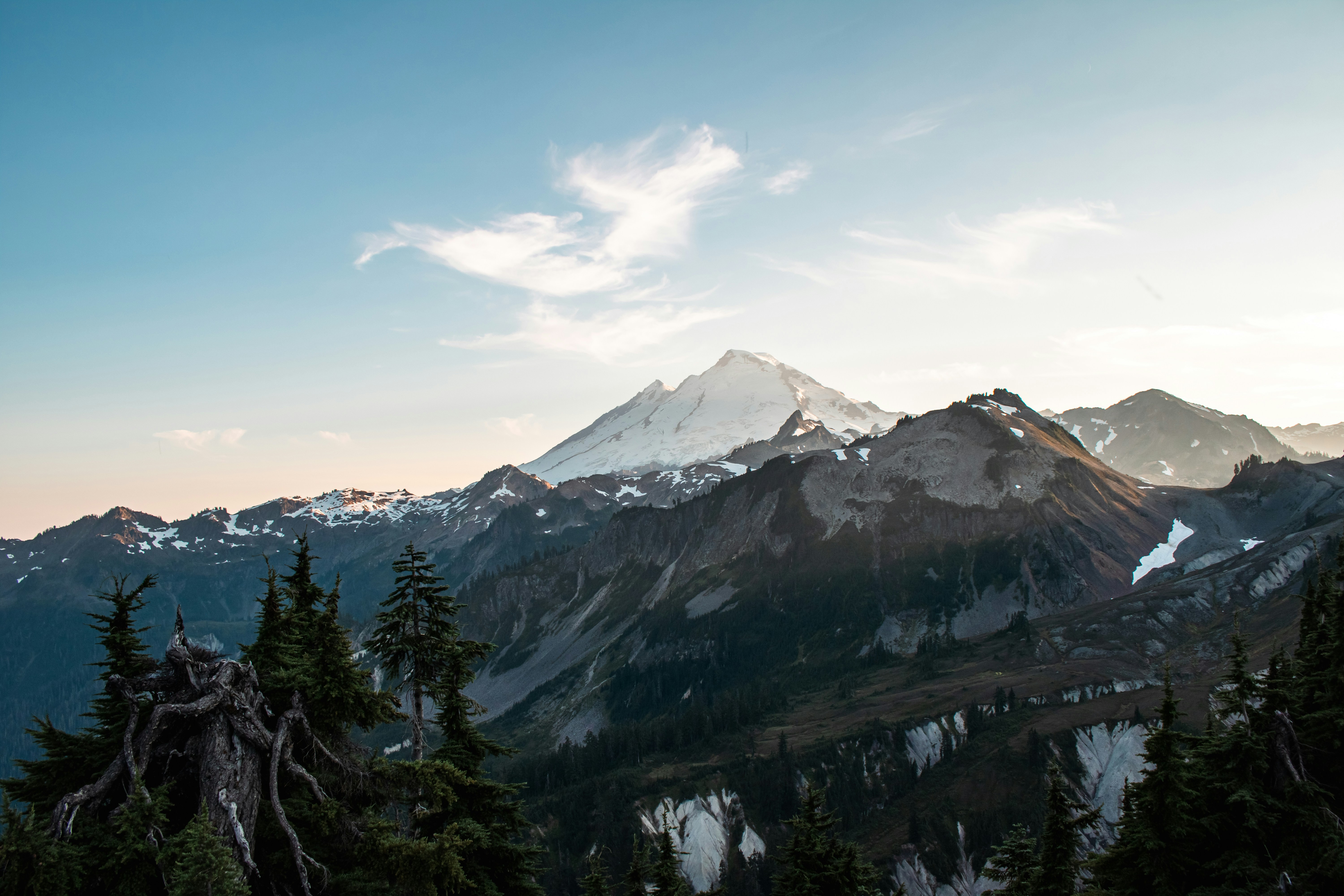 Photo by zoshuacolah