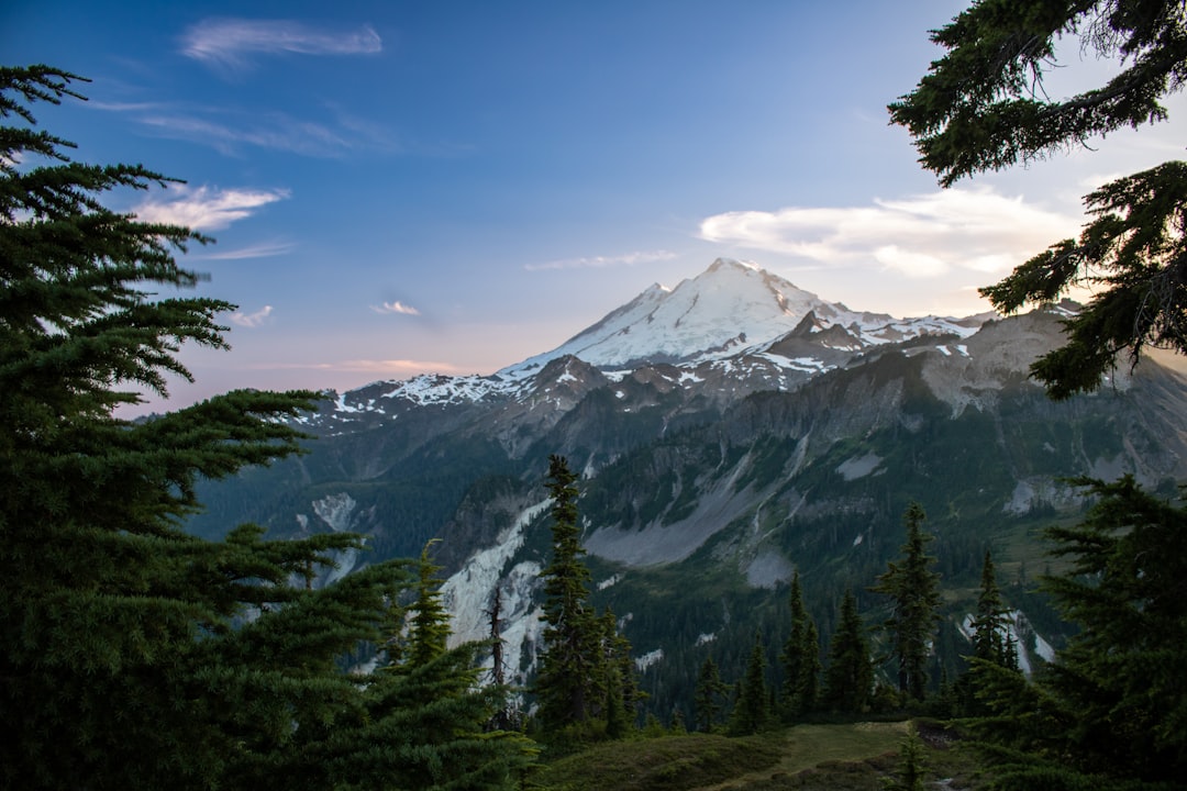 California Exodus 7 Top Destinations for Former Golden State Reside… — California Exodus 7 Top Destinations for