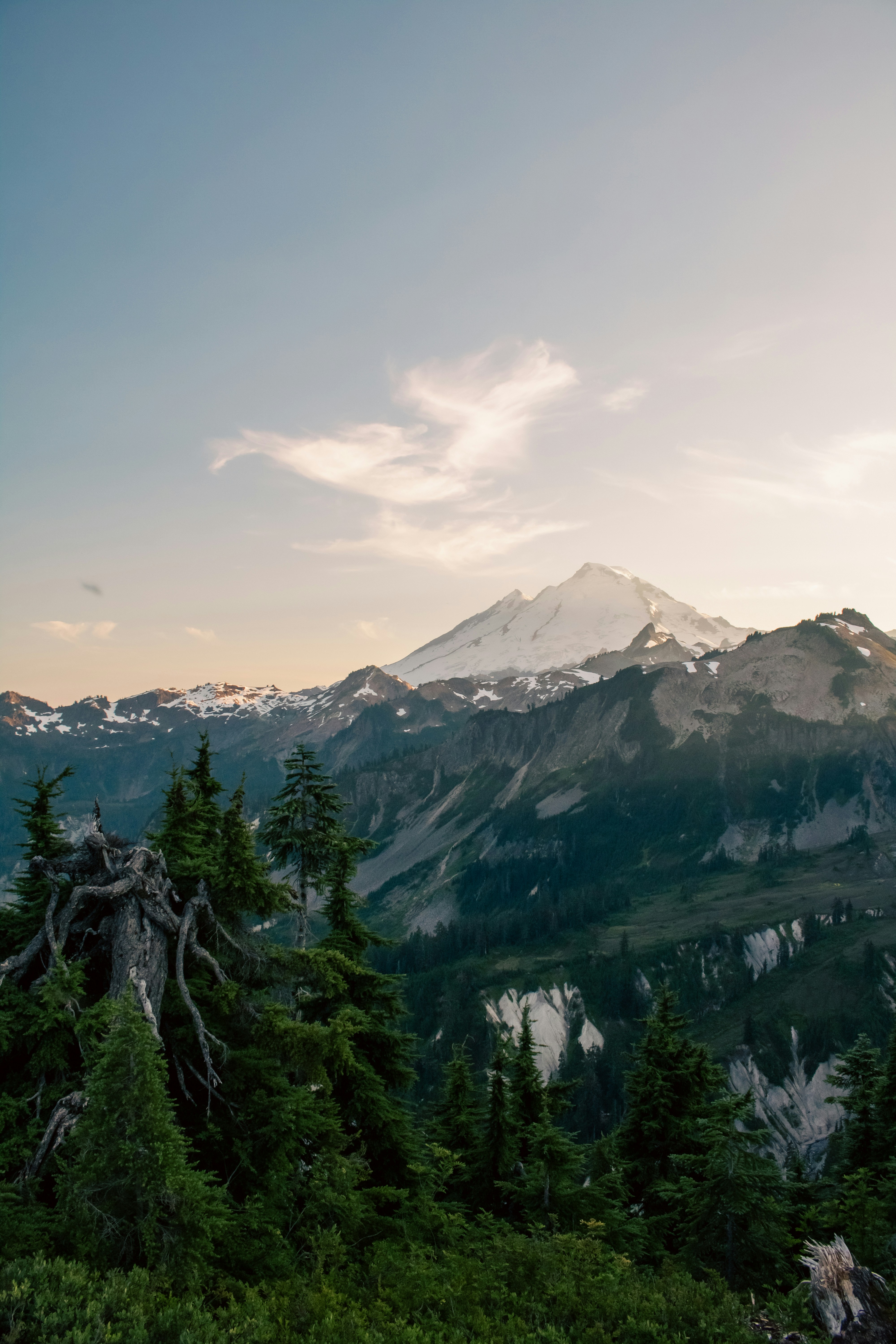 Photo by zoshuacolah