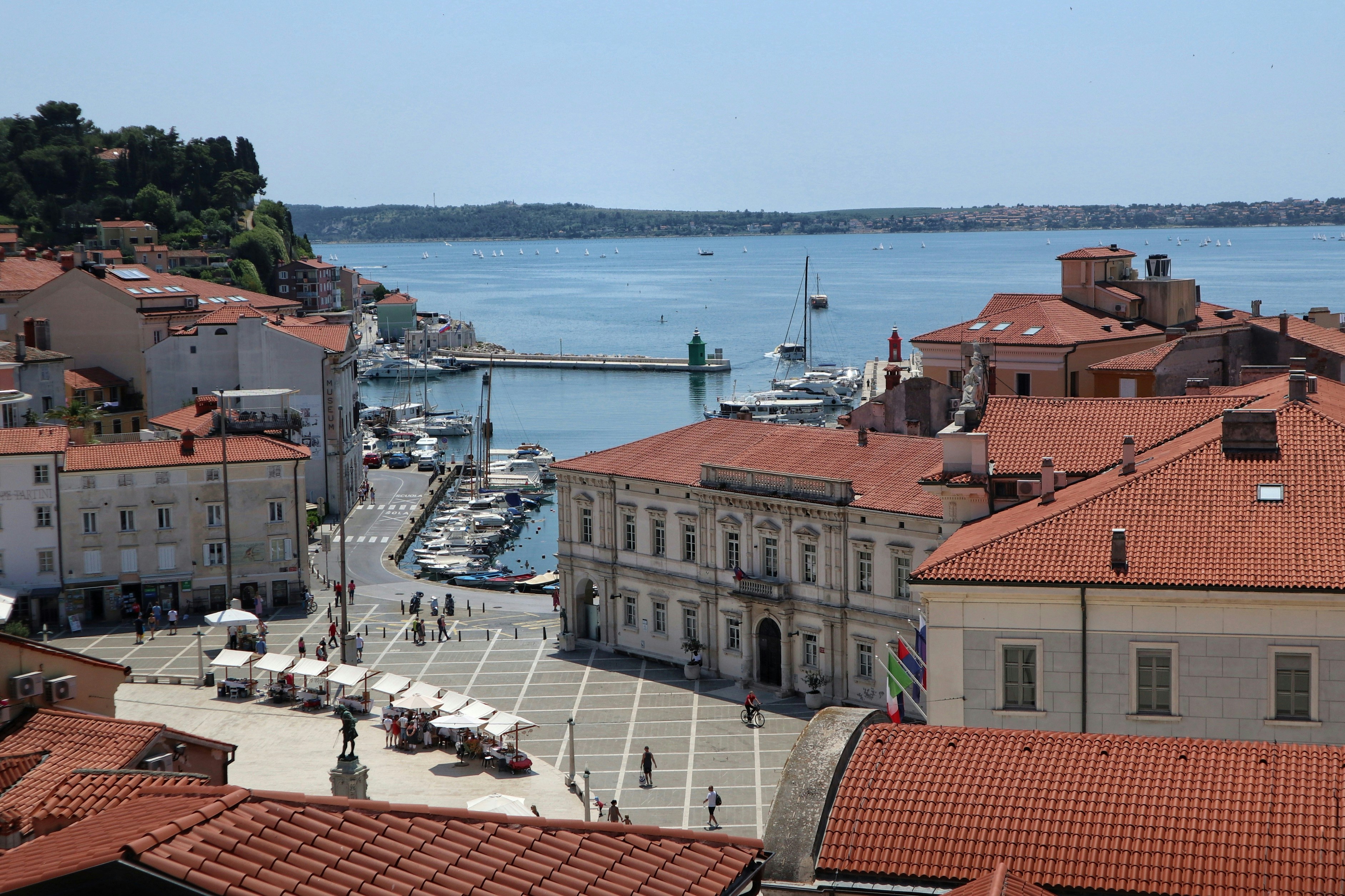 Photo by balint_miko