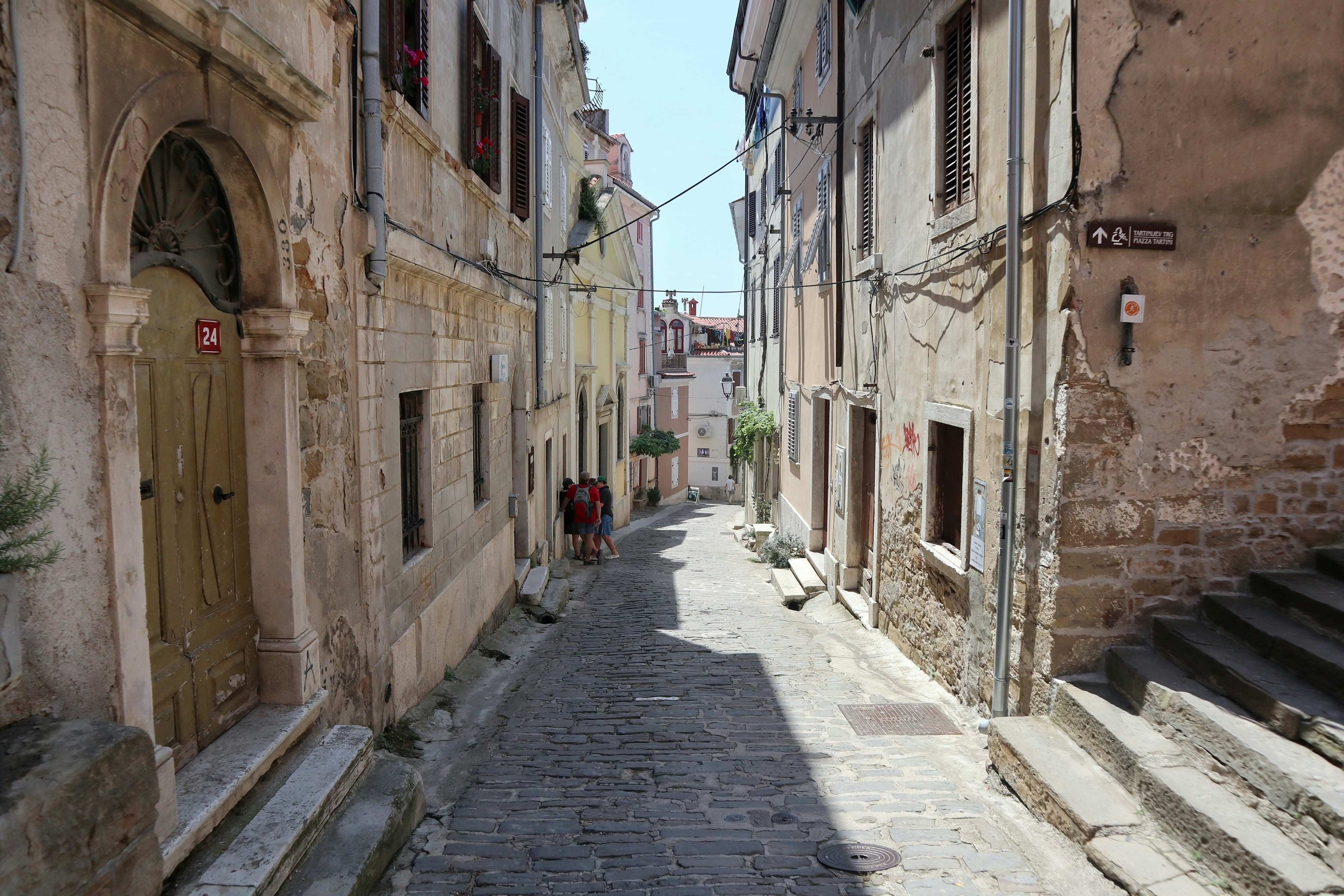 Photo by balint_miko