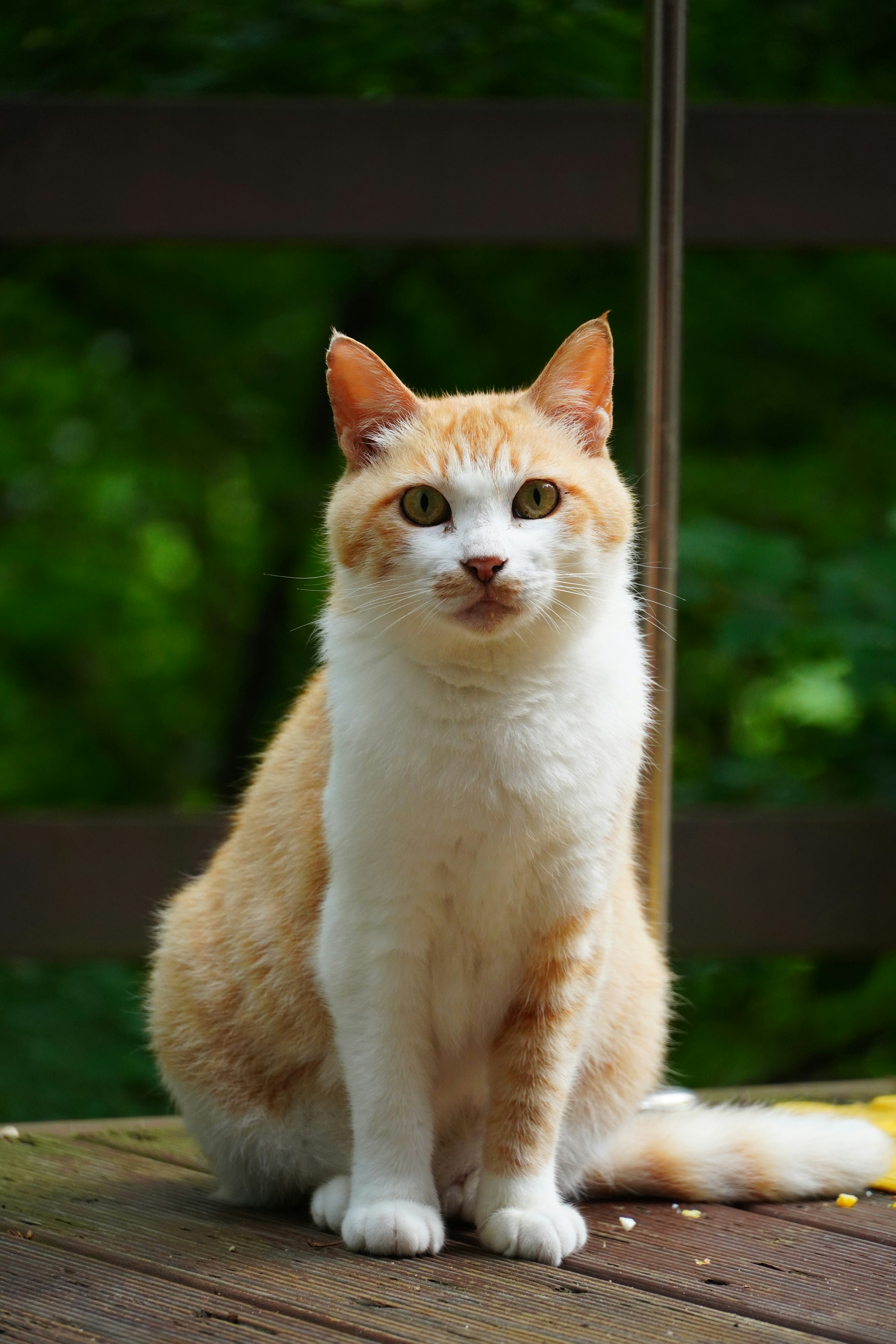 Photo by lifeinkorea