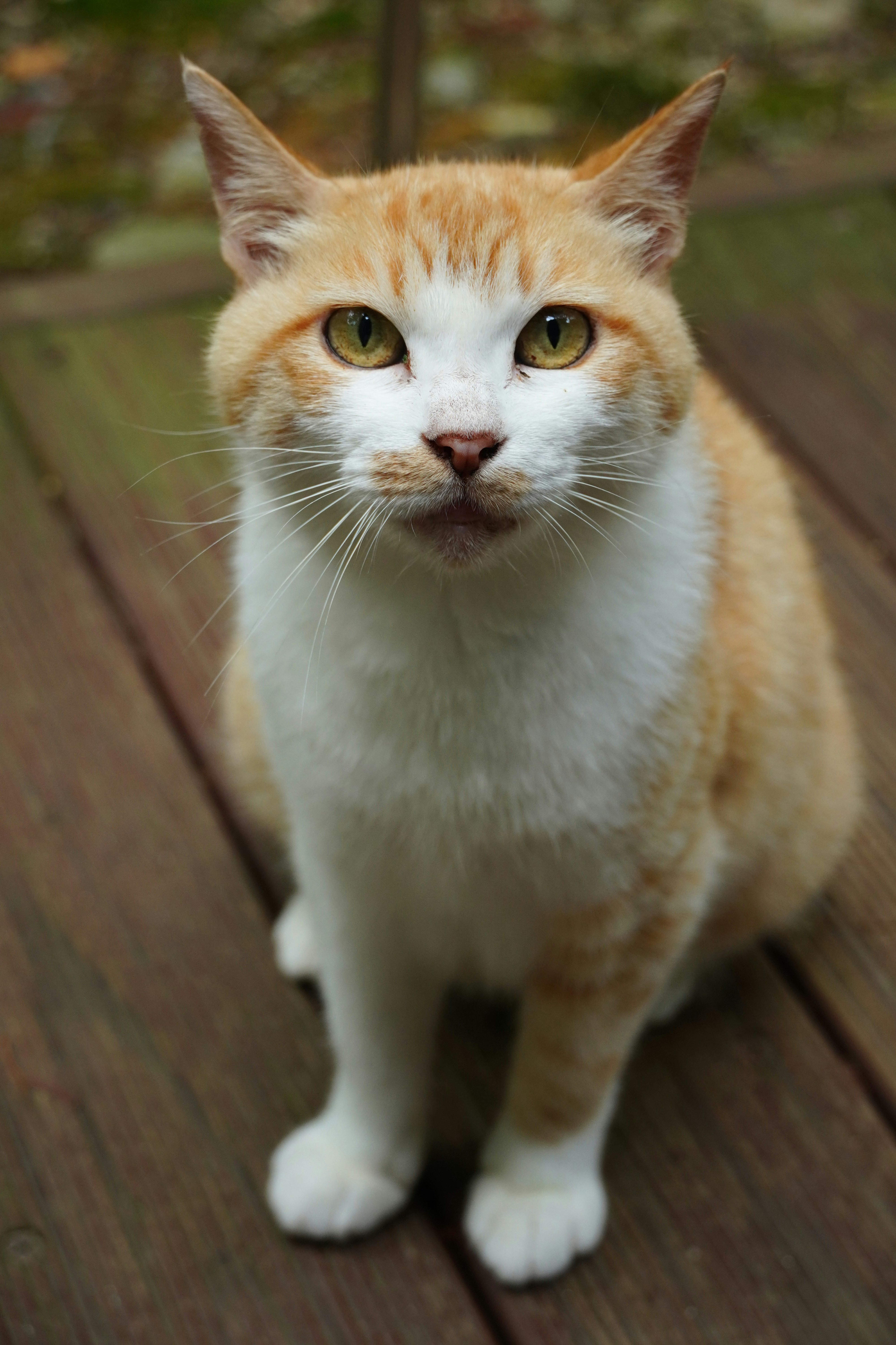 Photo by lifeinkorea