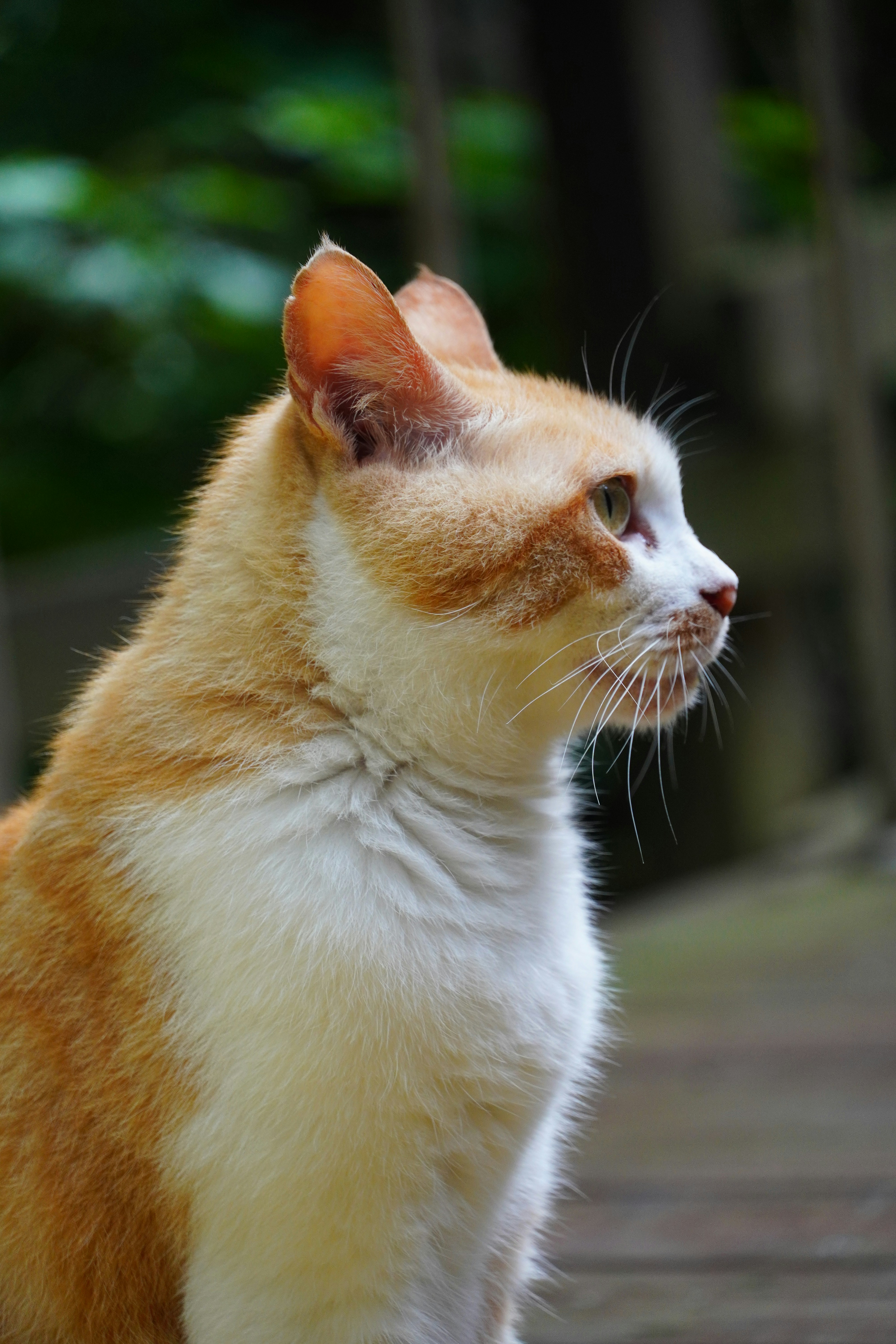 Photo by lifeinkorea