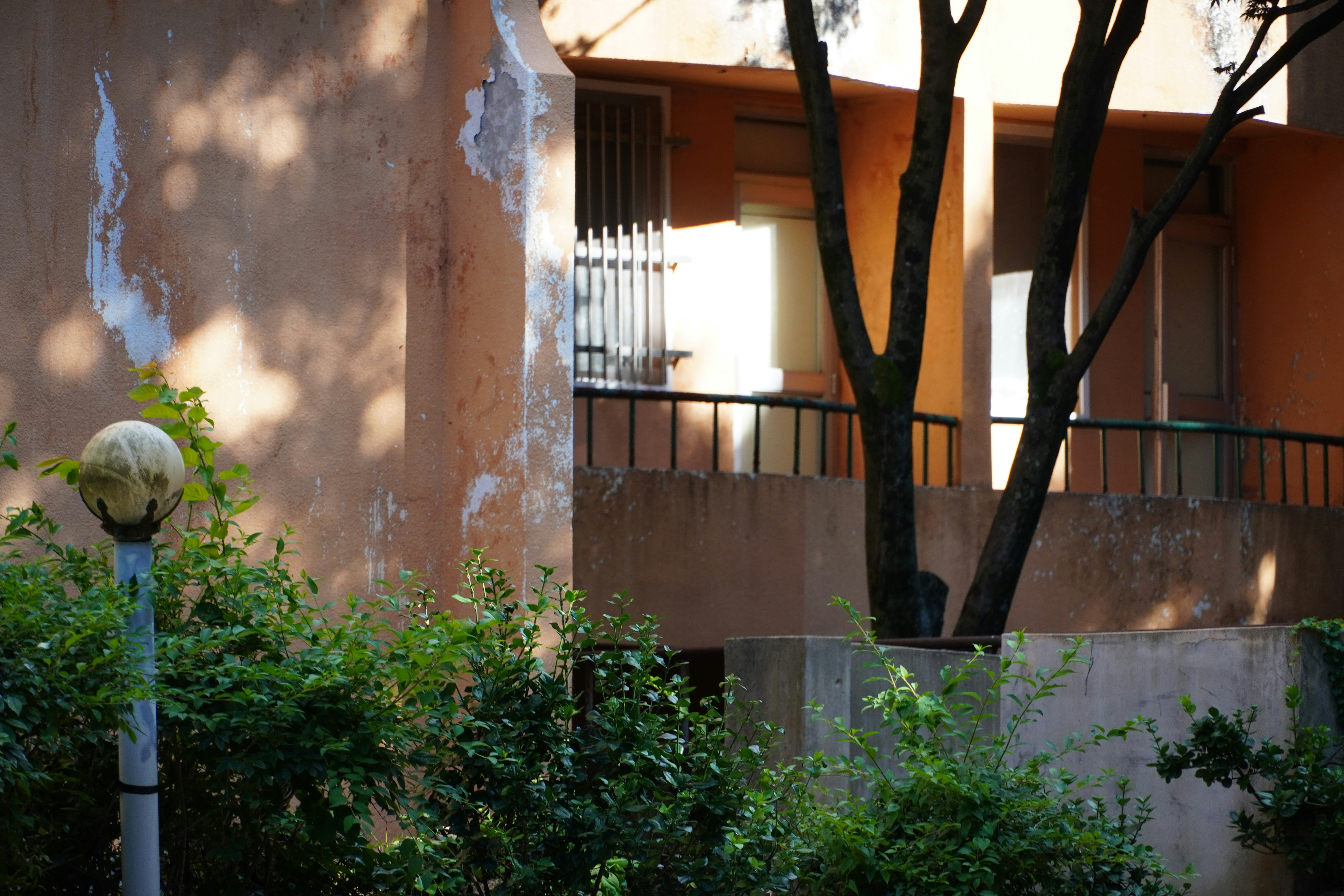 Photo by lifeinkorea