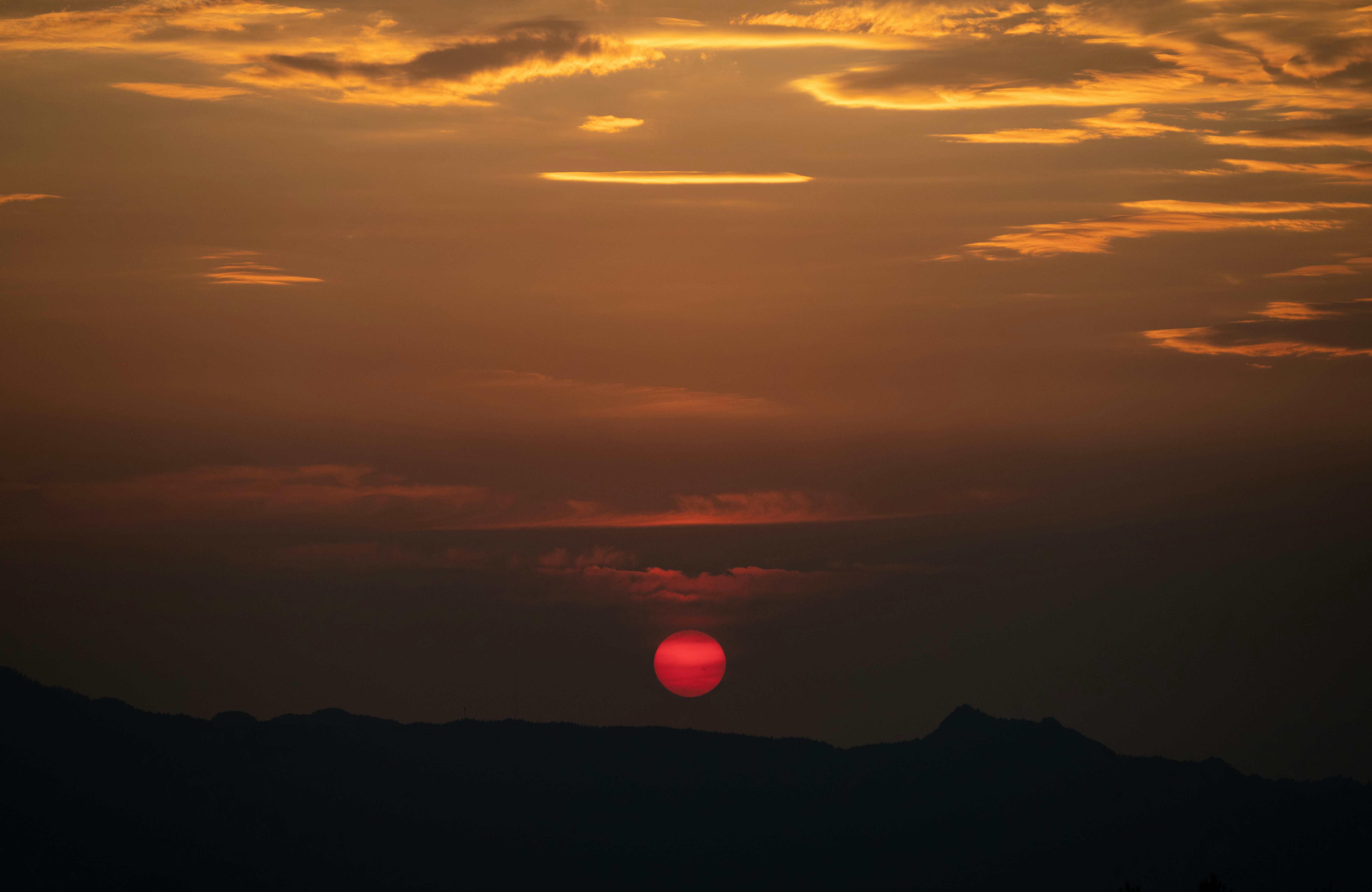 Photo by nikol_royce