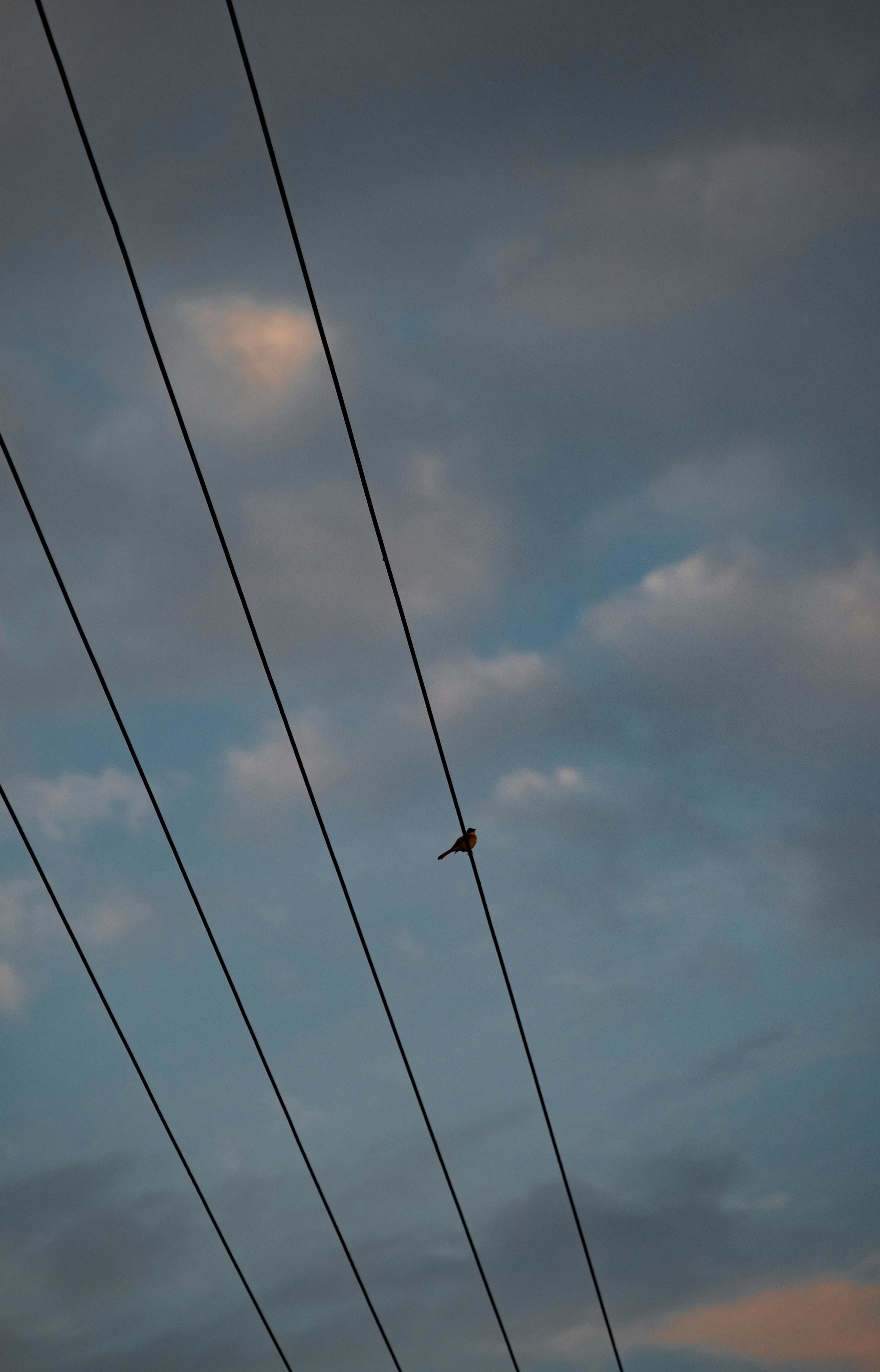 Photo by nikol_royce