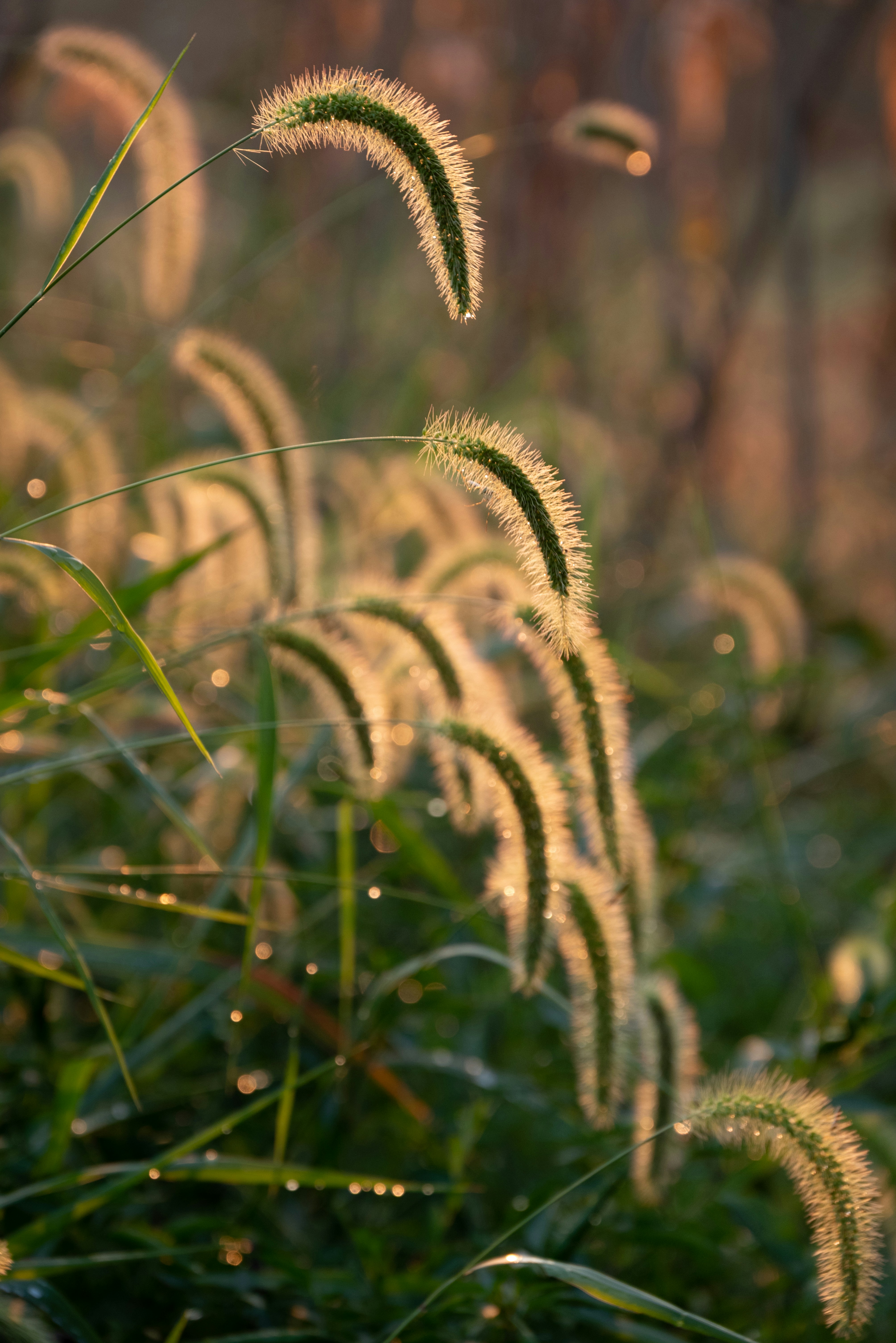 Photo by nikol_royce