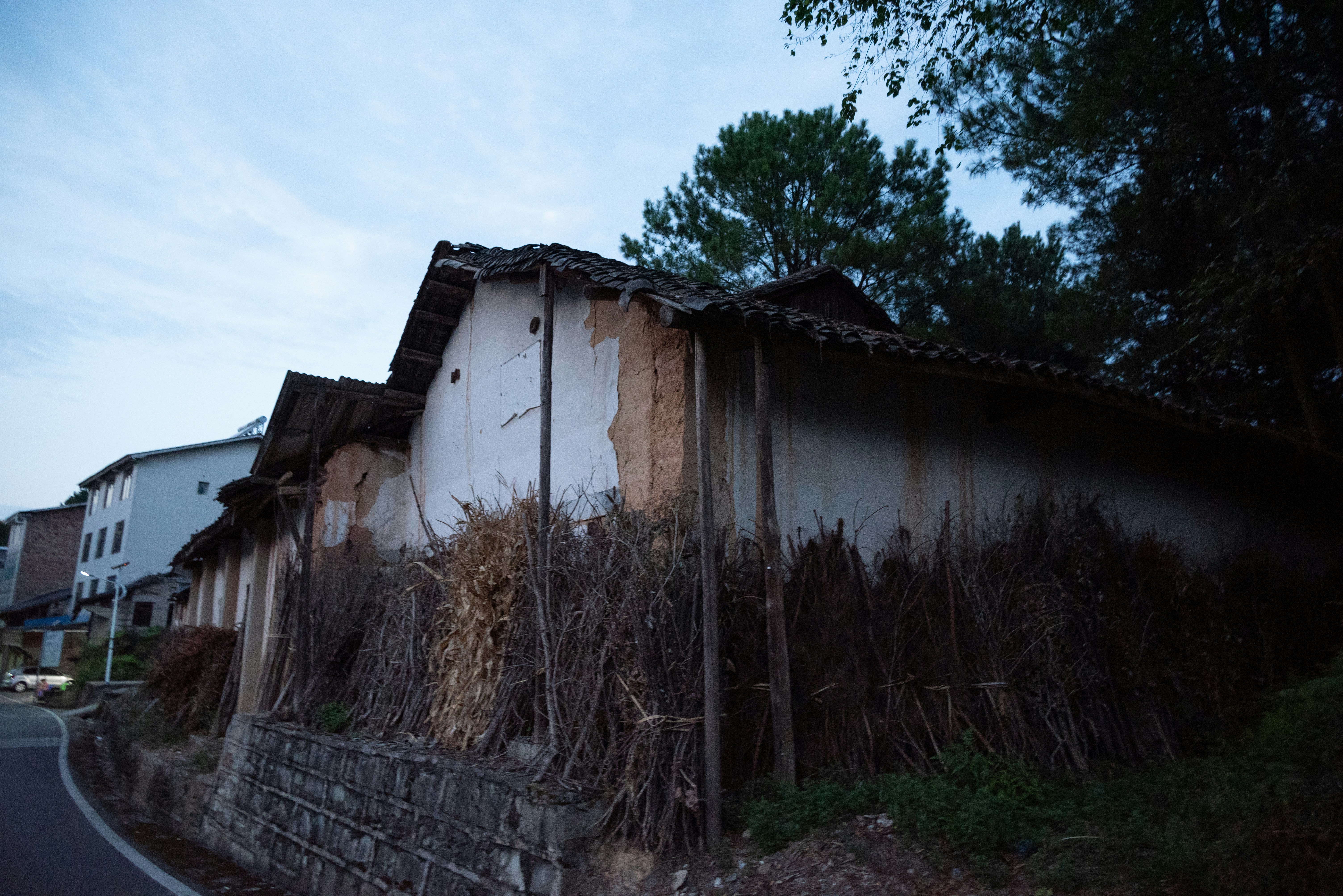 Photo by nikol_royce